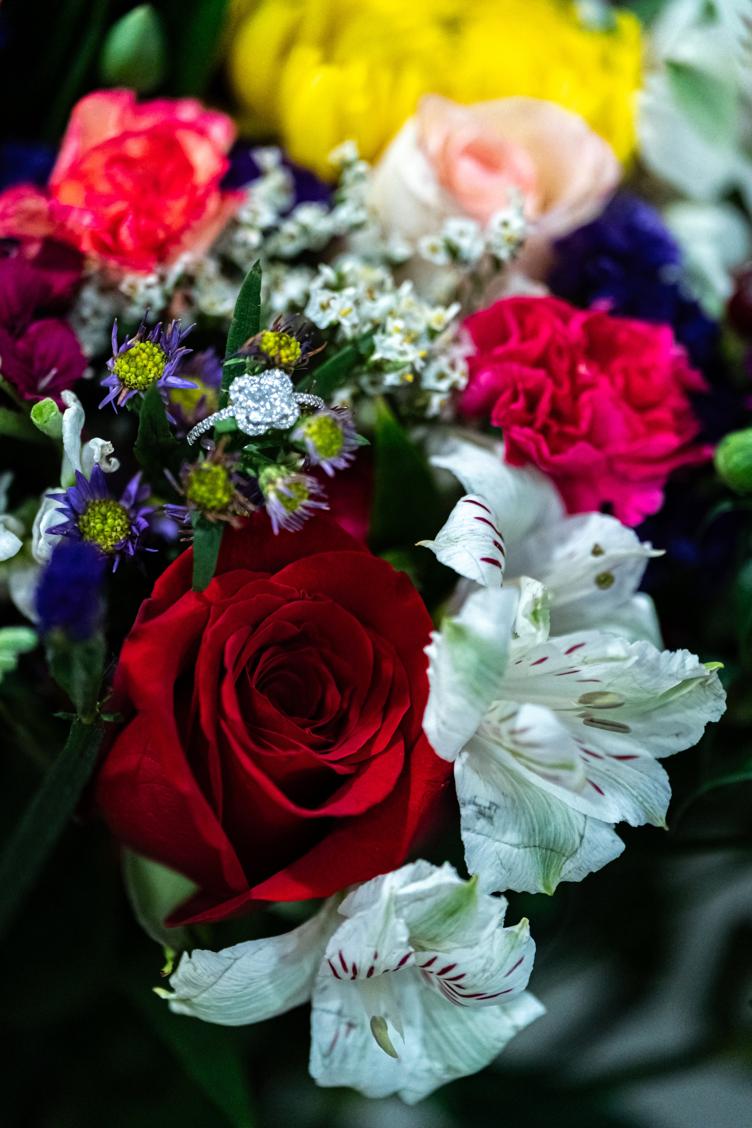 DSC09467.jpg