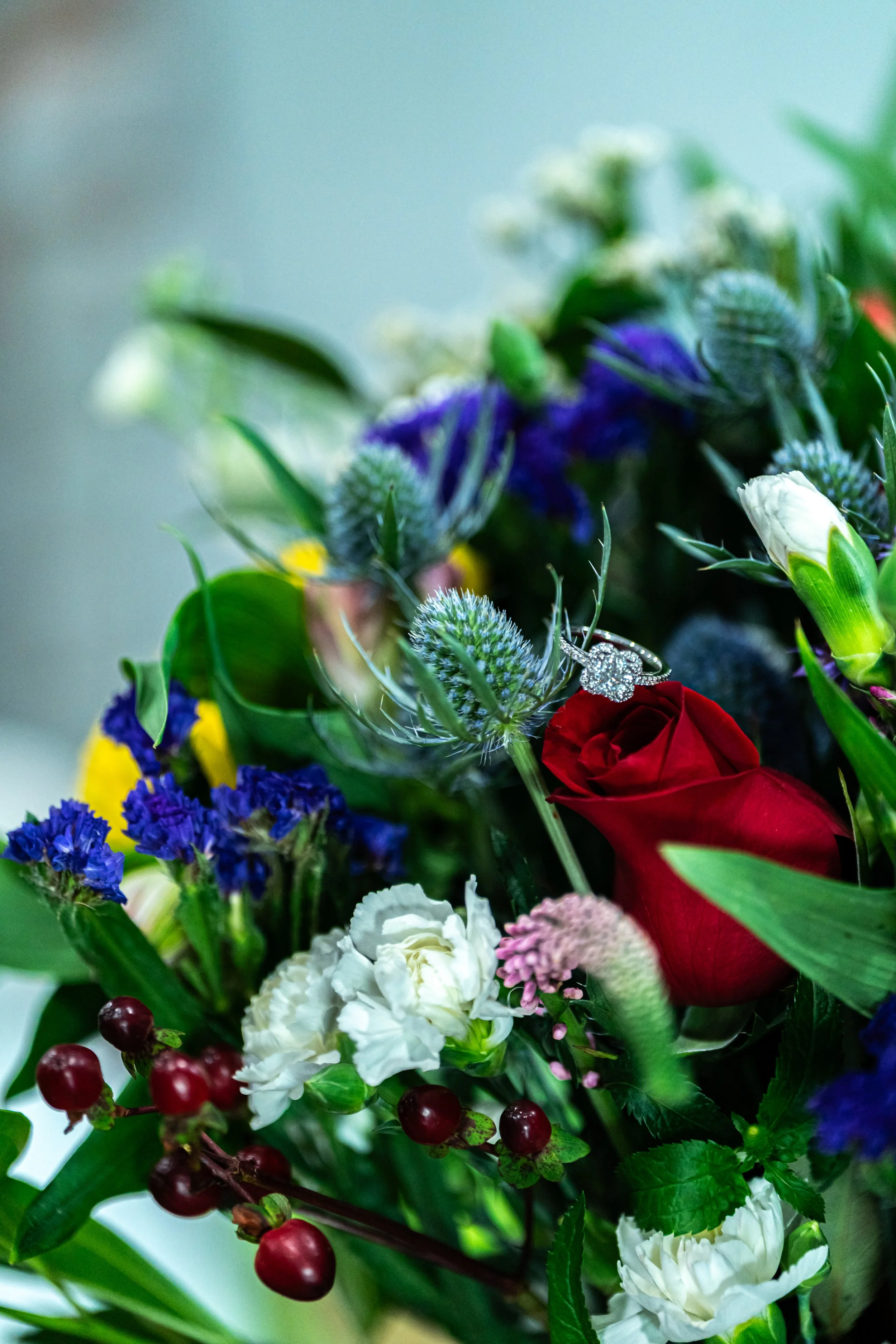 DSC09650.jpg