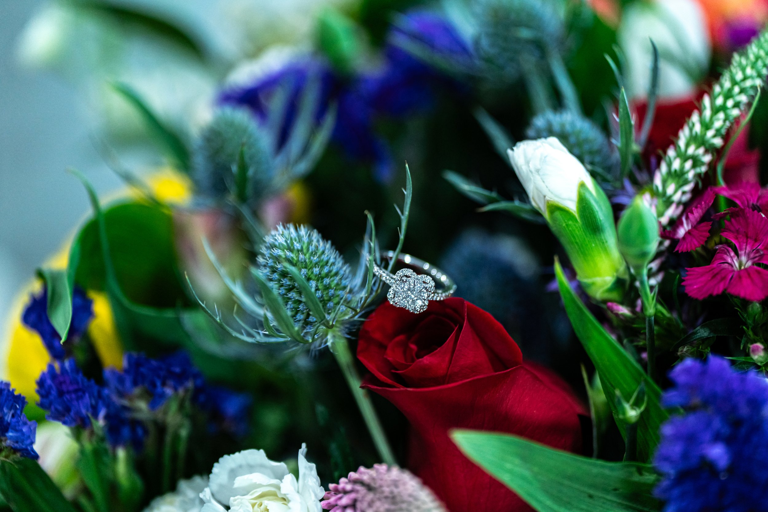 DSC09702.jpg