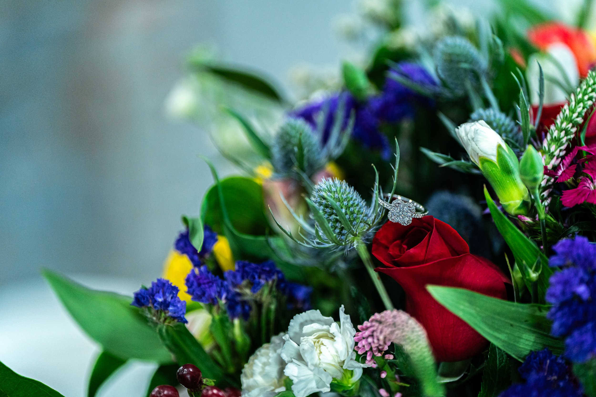 DSC09643.jpg