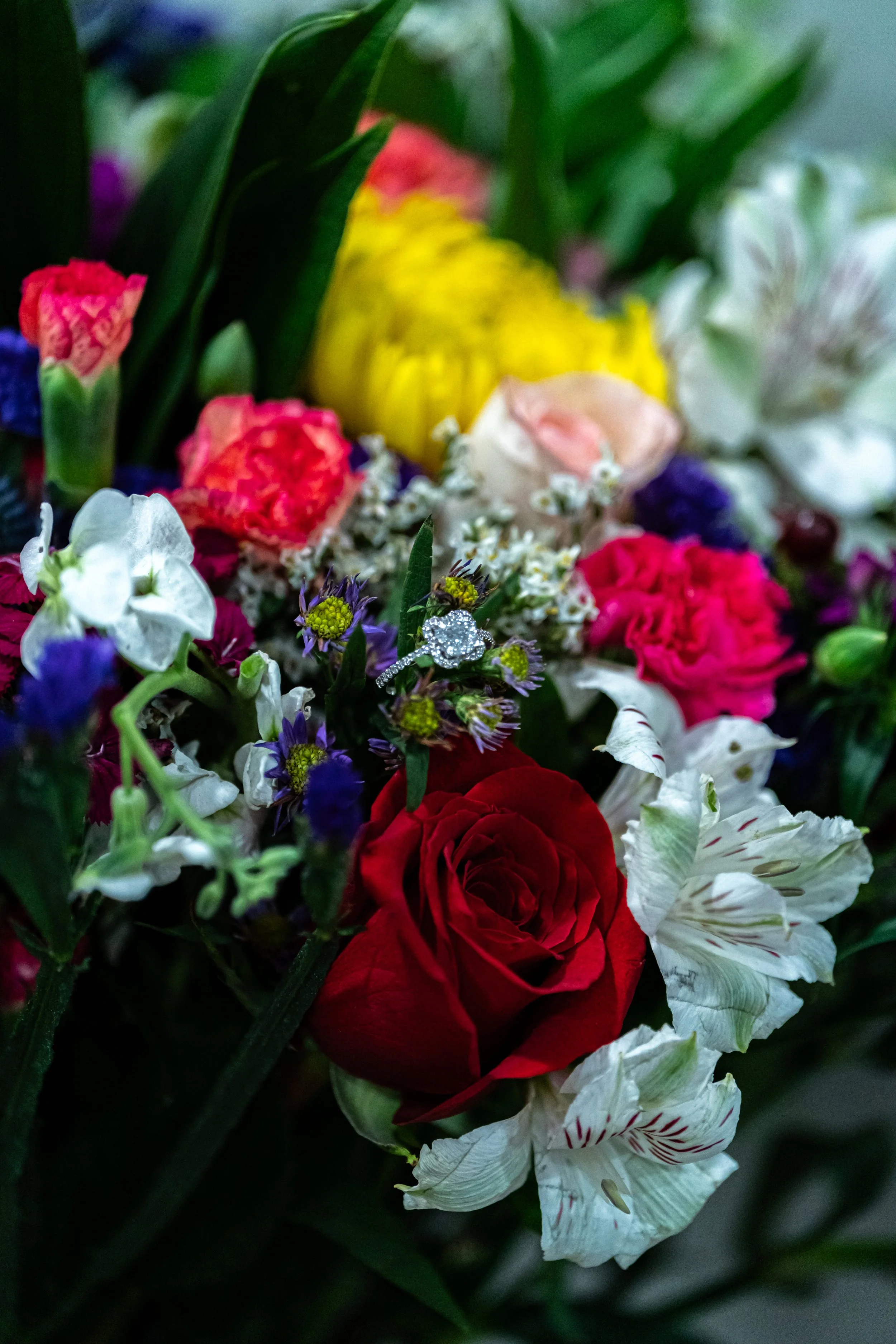 DSC09474.jpg