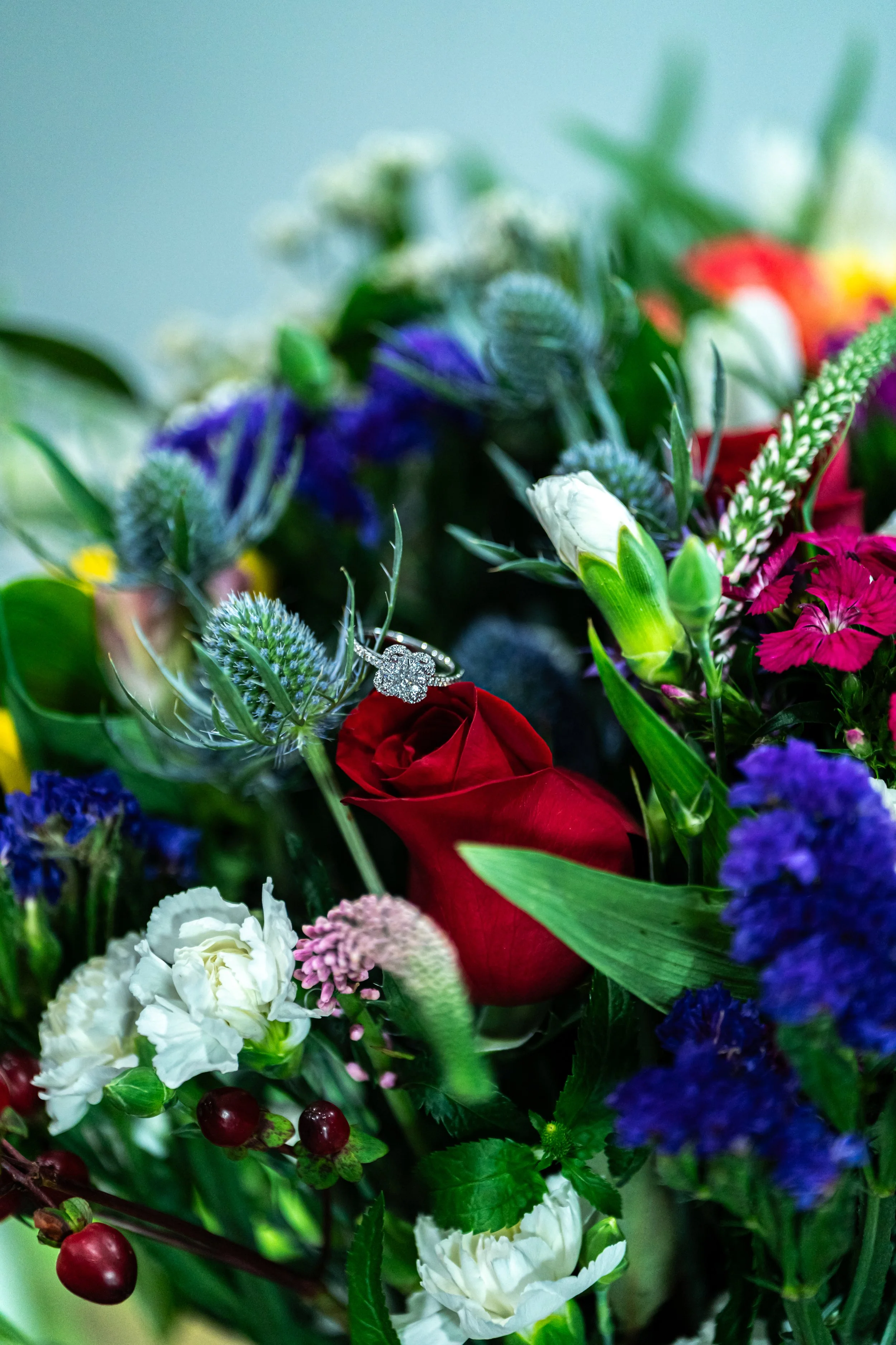 DSC09657.jpg