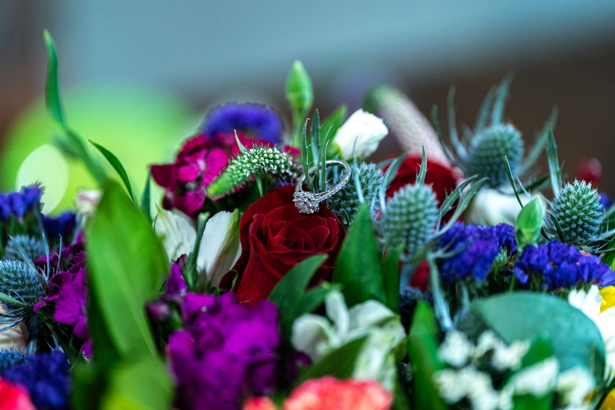 DSC09556.jpg