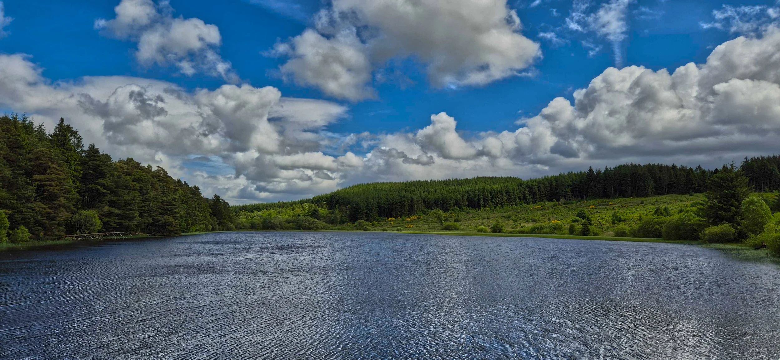 Vibrant Scottish loch landscape photography with deep blue water reflections and summer woodlands.