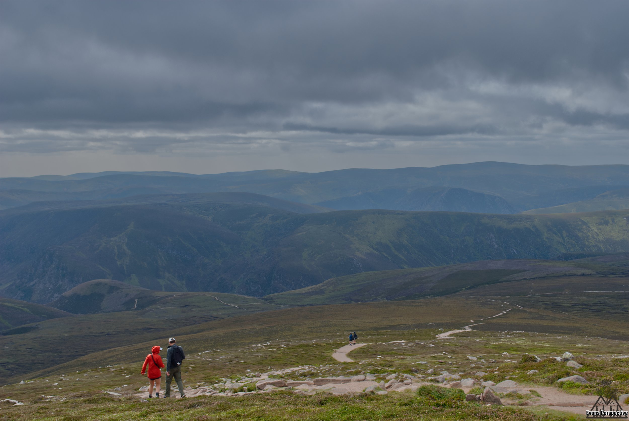 DSC_3791 JPEG.jpg