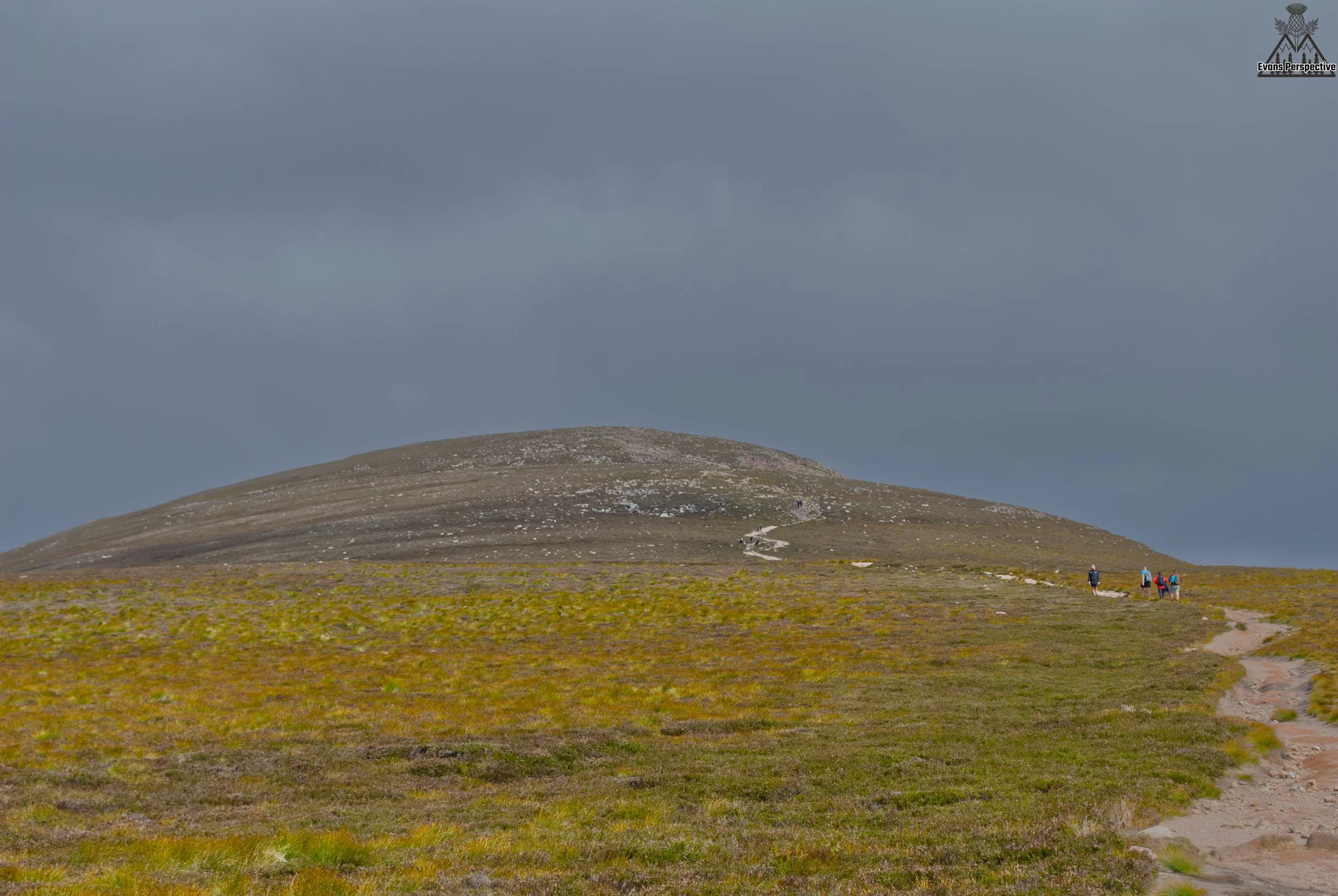 DSC_3793 JPEG.jpg