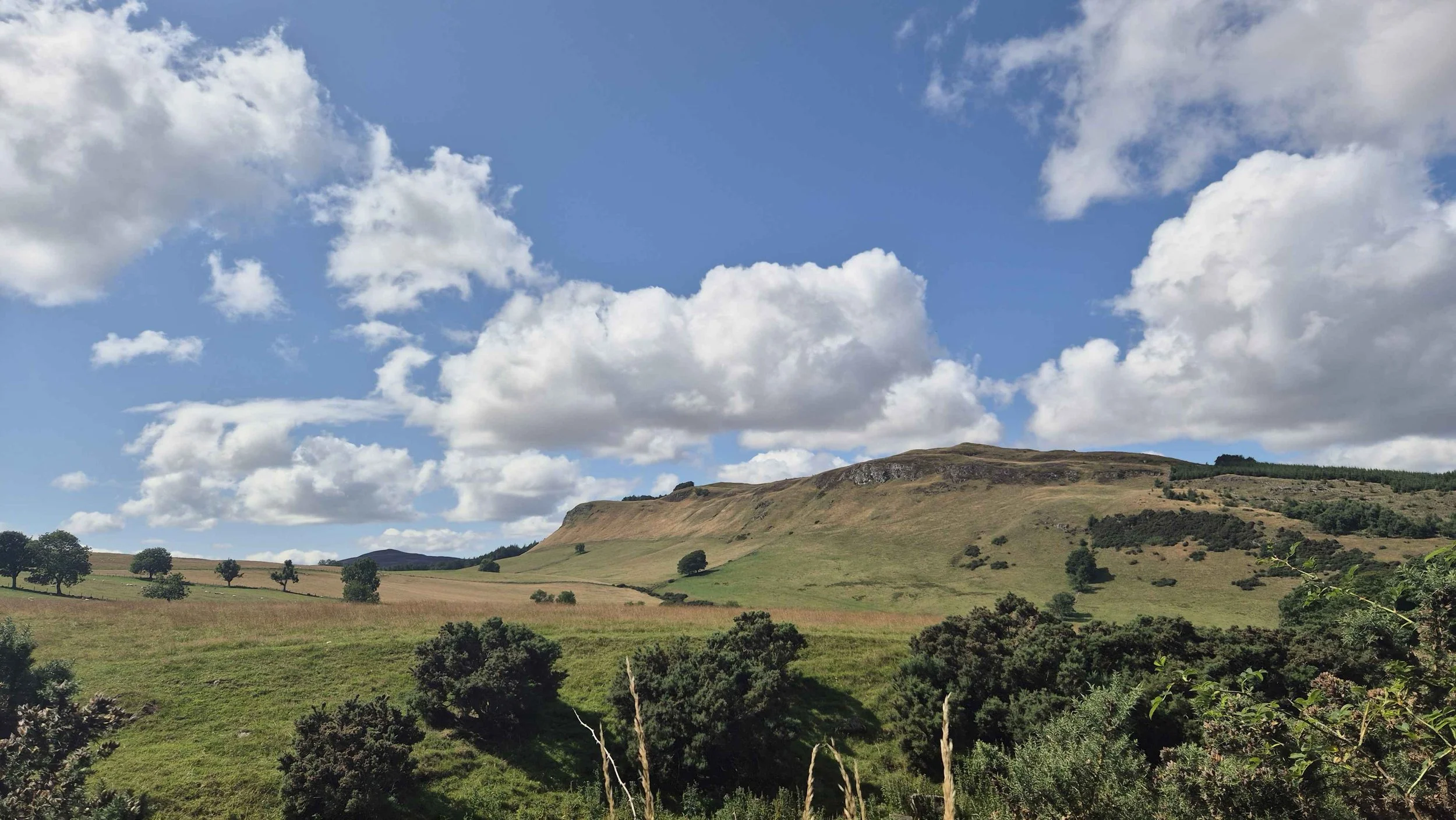 A scenic landscape of rolling green hills with scattered trees under a partly cloudy blue sky.