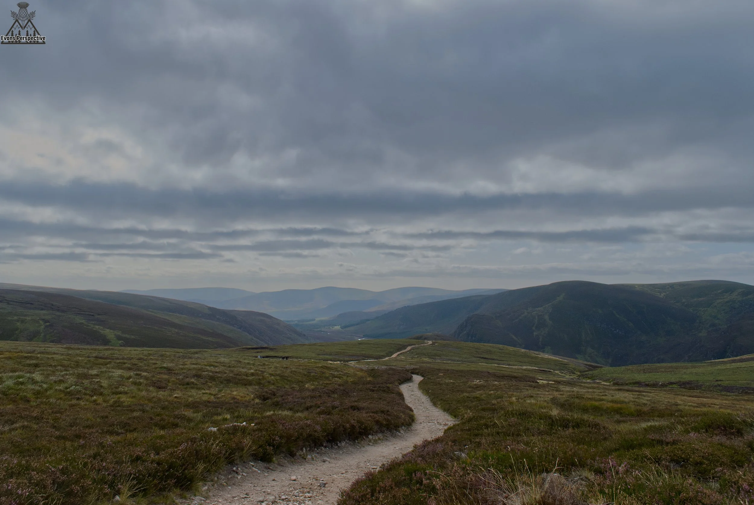 DSC_3750 JPEG.jpg