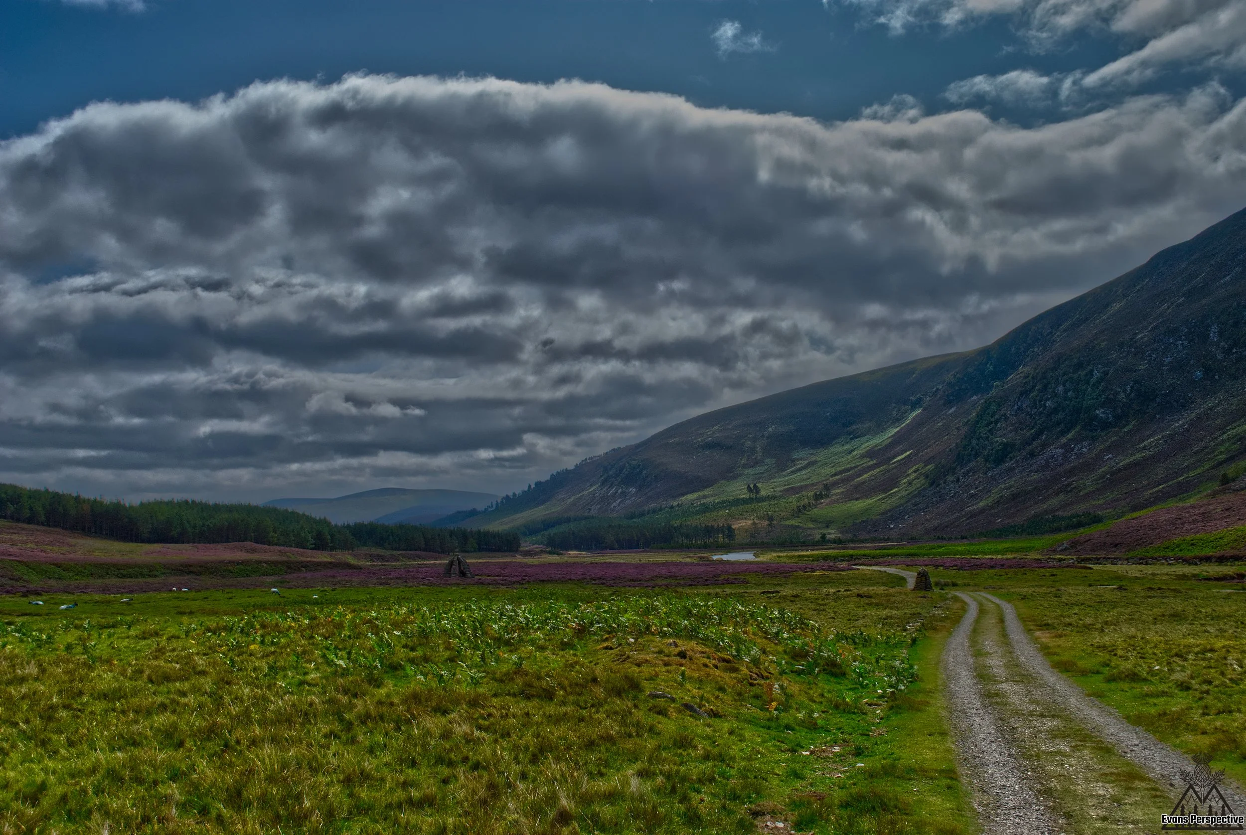 A dramatic Scottish glen view showing a dirt track road winding past heather fields near The Queens Well and Mount Keen in Angus under heavy clouds.