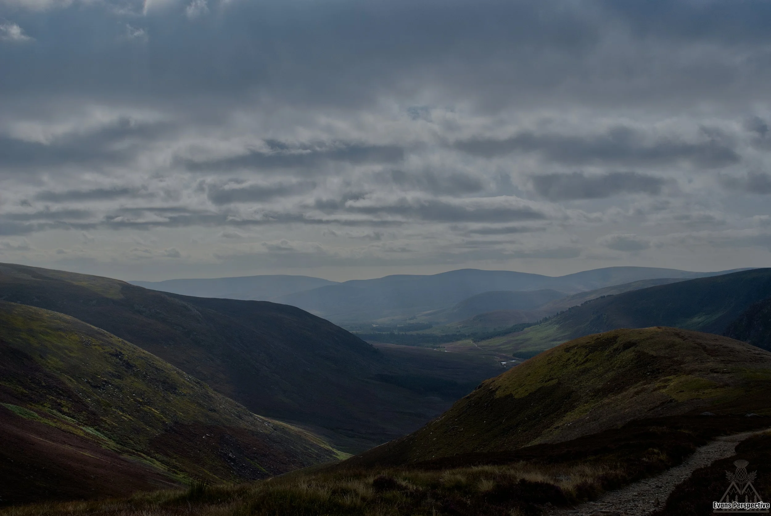 DSC_3745 JPEG.jpg