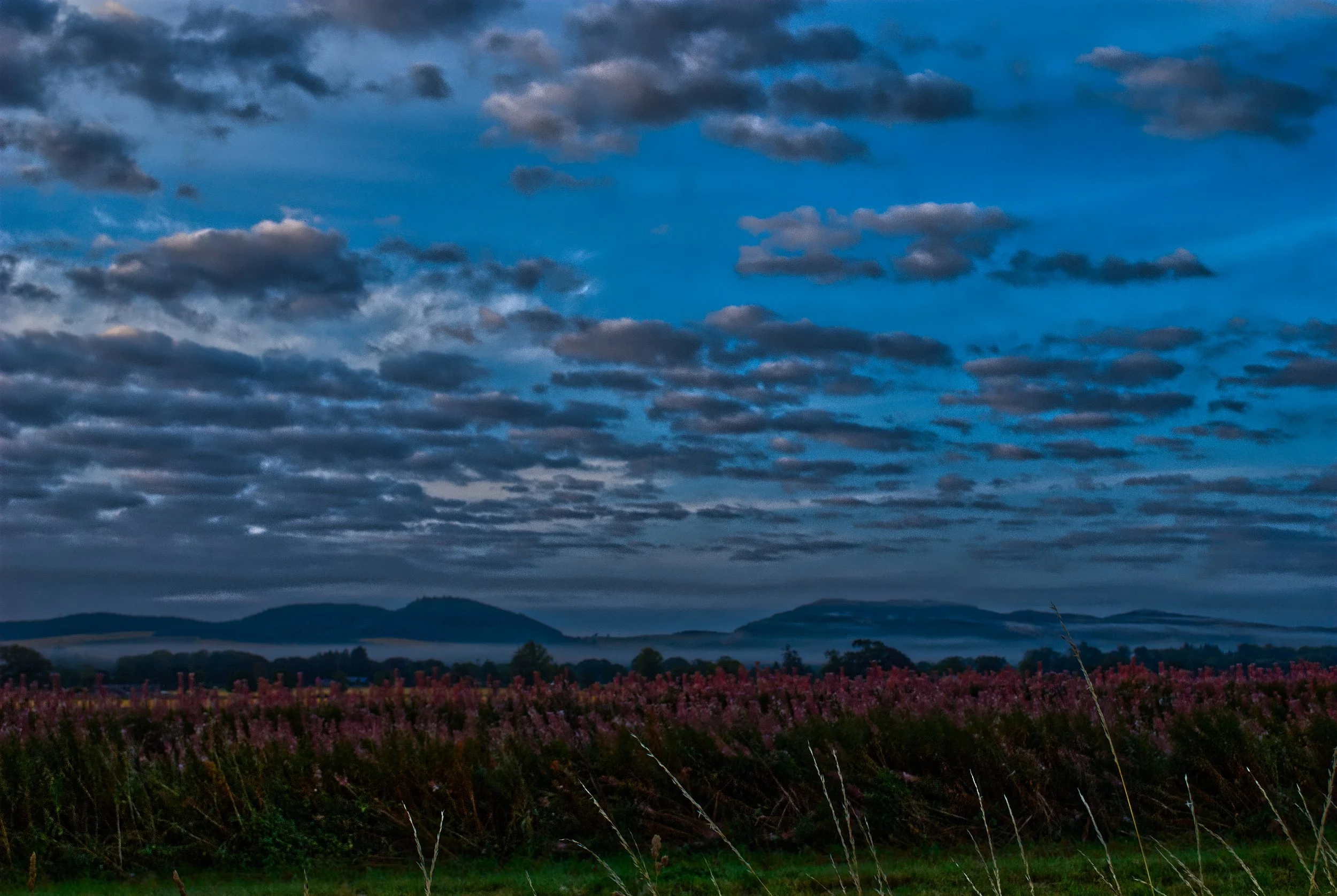 Moody twilight landscape capturing a deep blue hour sky settling over the Scottish countryside.