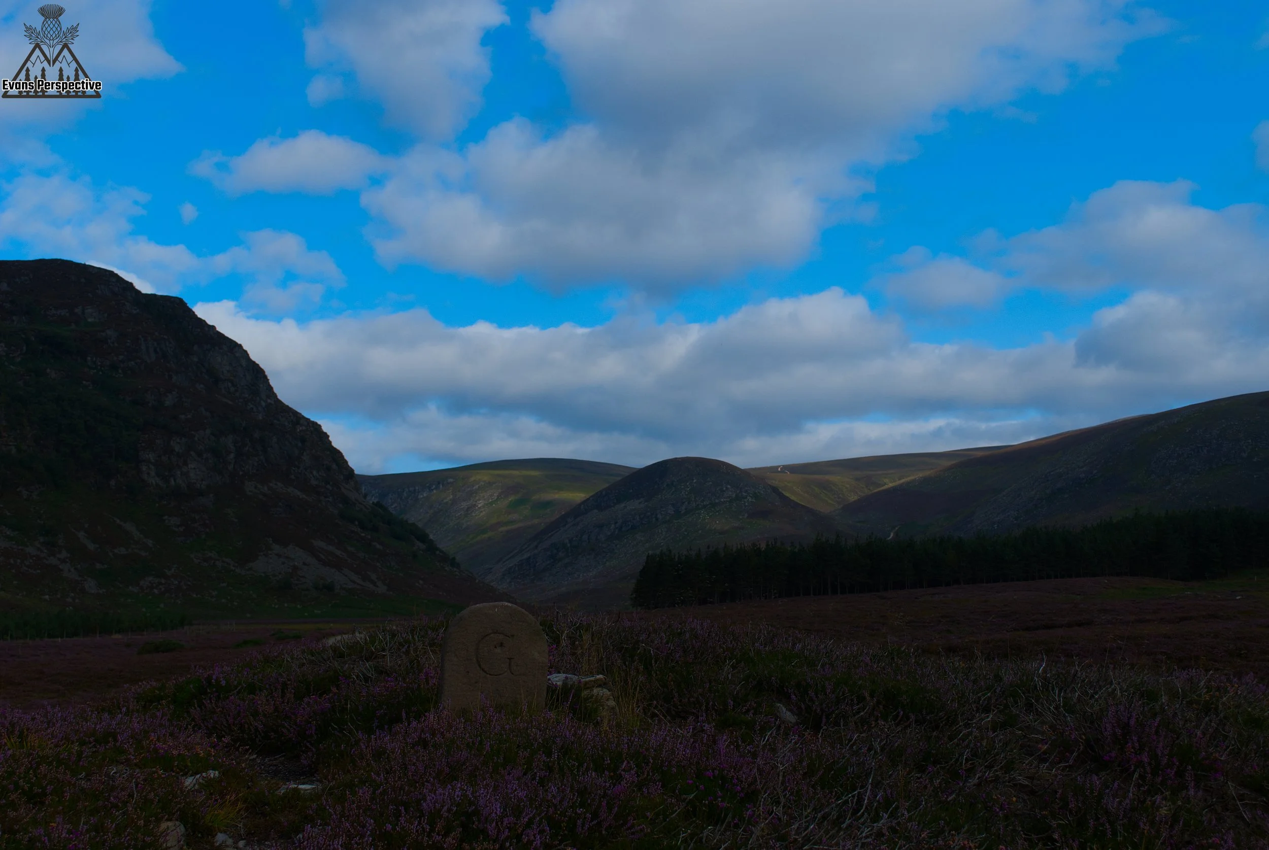DSC_3733 JPEG.jpg