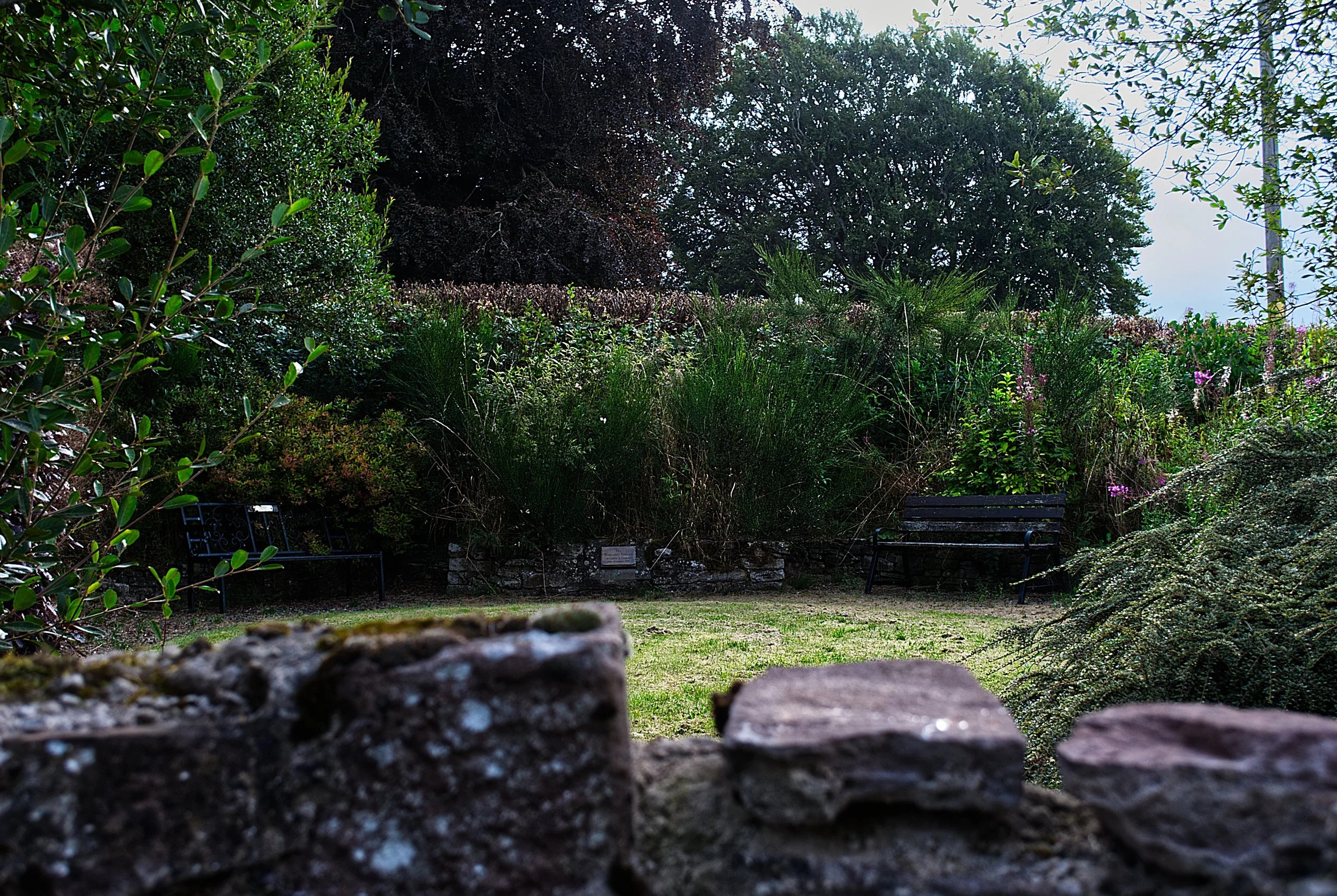 A garden view with greenery, trees, bushes, and purple flowers, with two benches and a small plaque in the background, seen through a foreground of rough bricks.