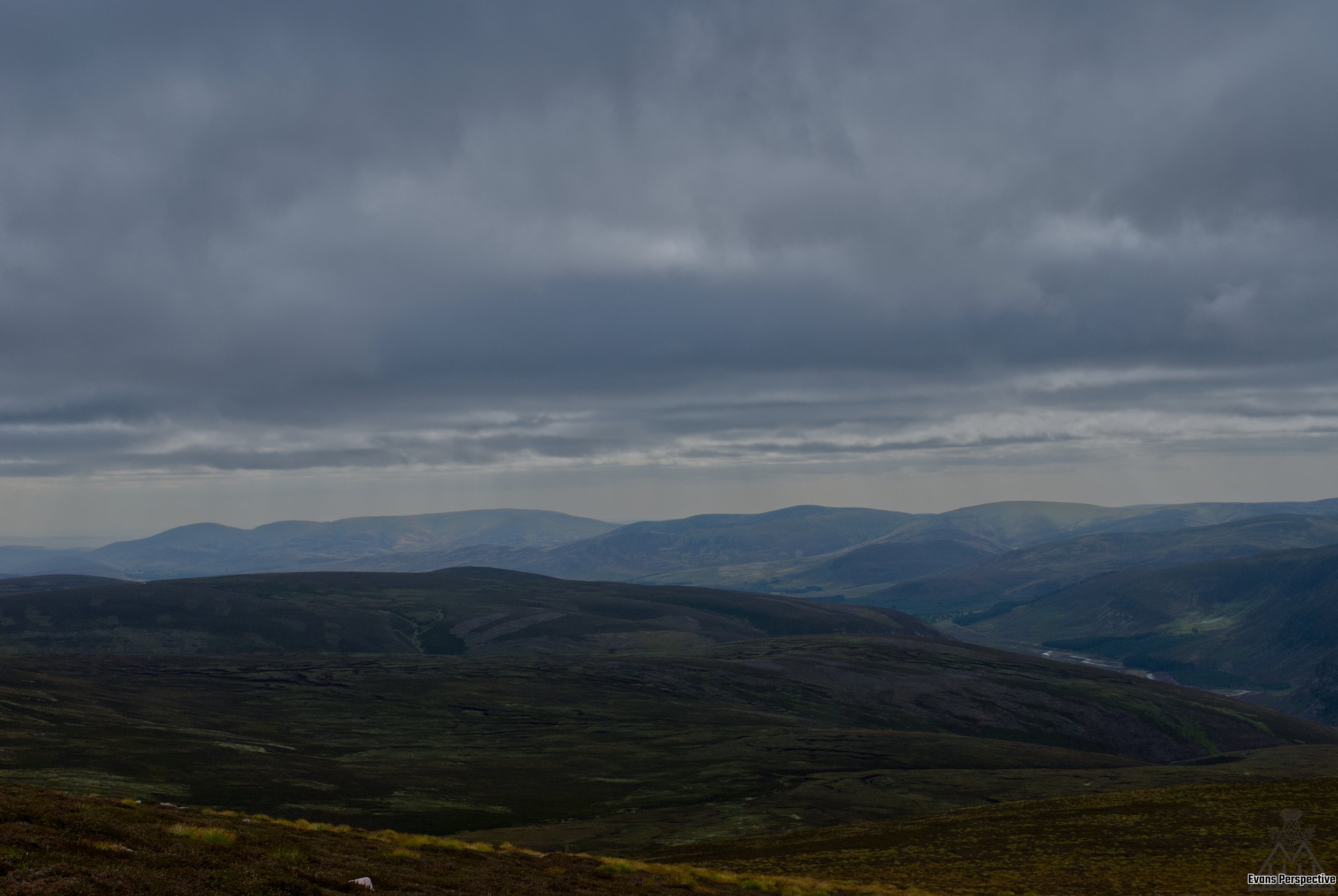 DSC_3758 JPEG.jpg