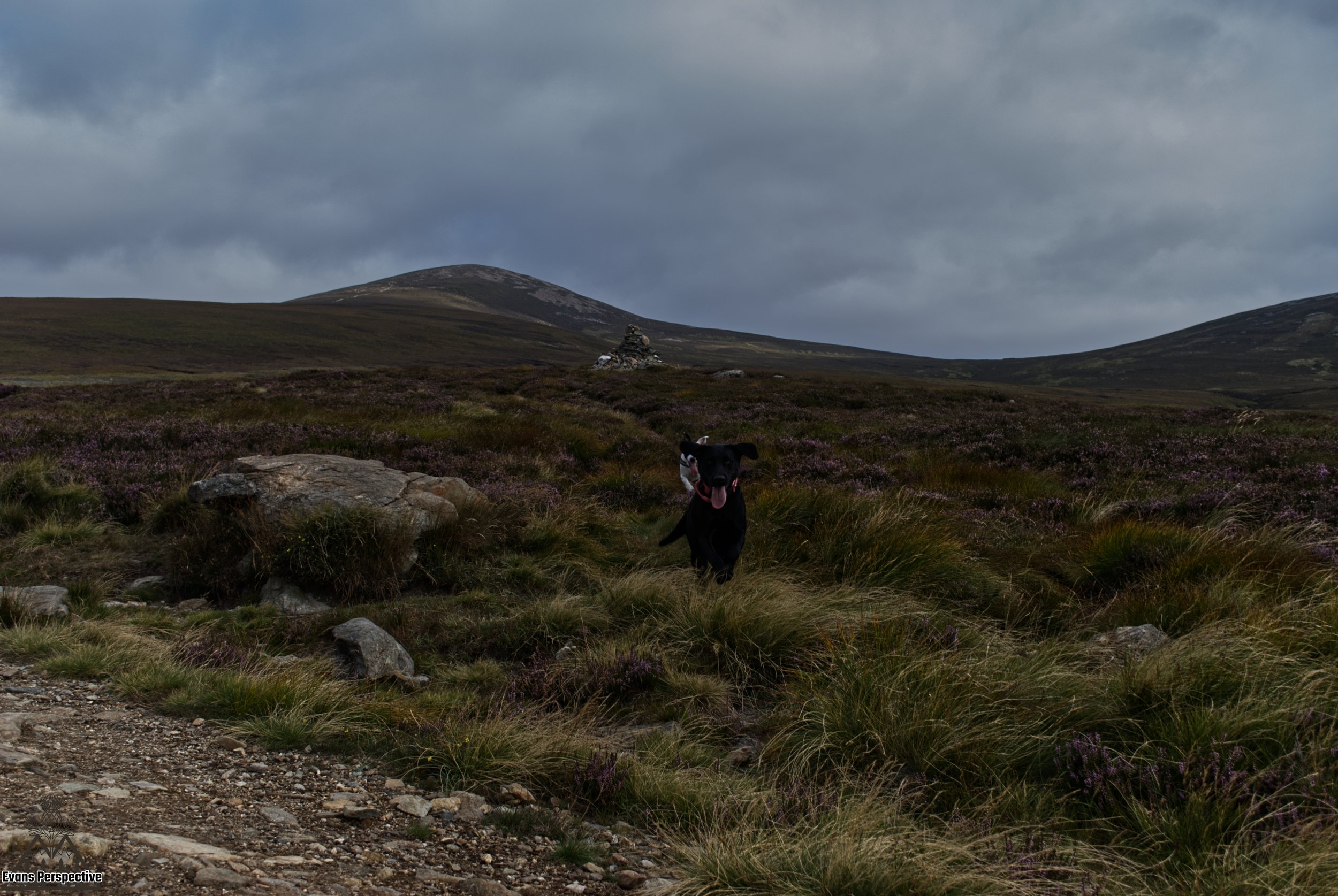 DSC_3748 JPEG.jpg