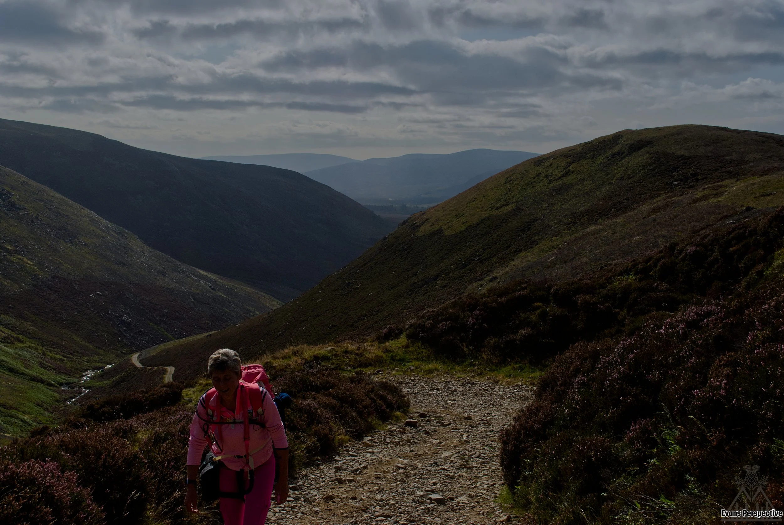 DSC_3744 JPEG.jpg