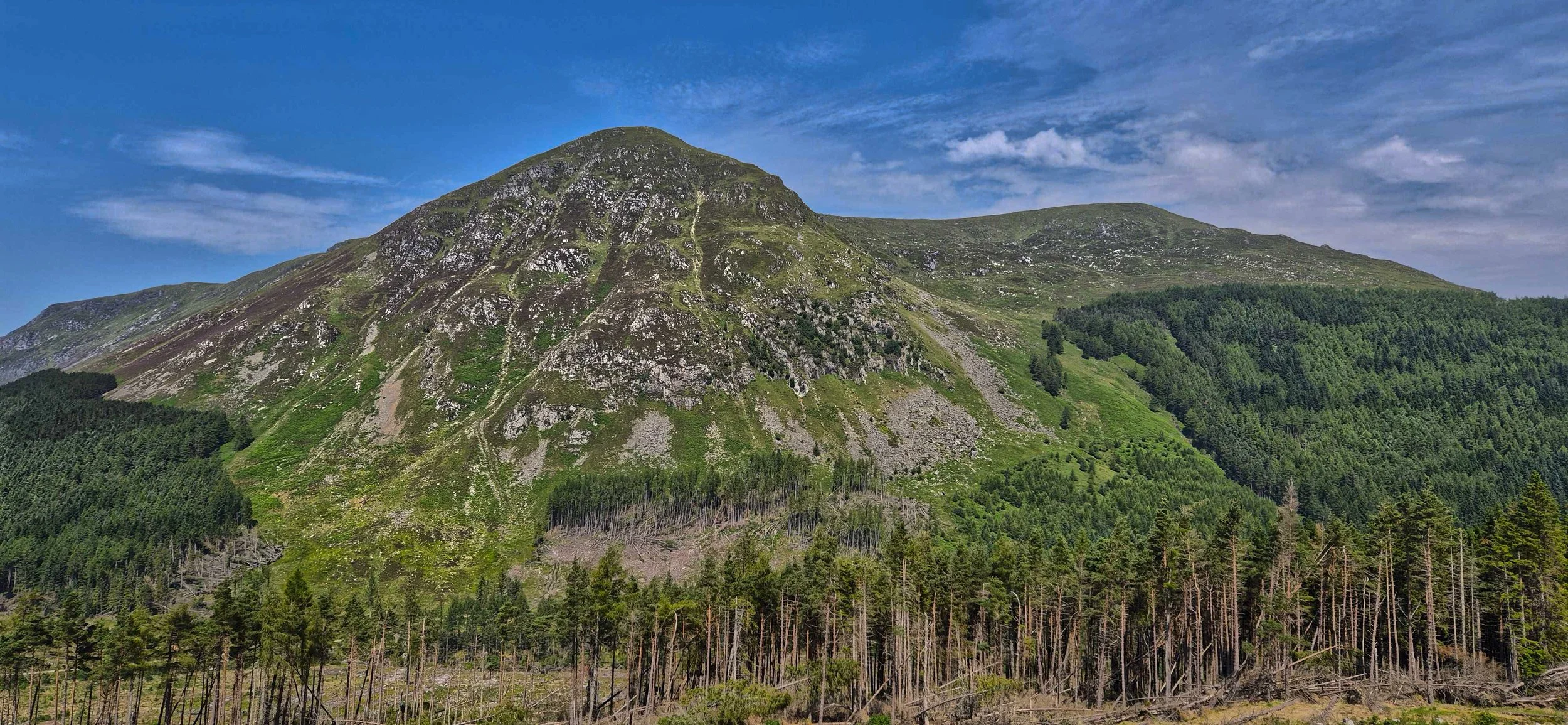 Rugged Scottish mountain peak towering over a valley of pine trees.