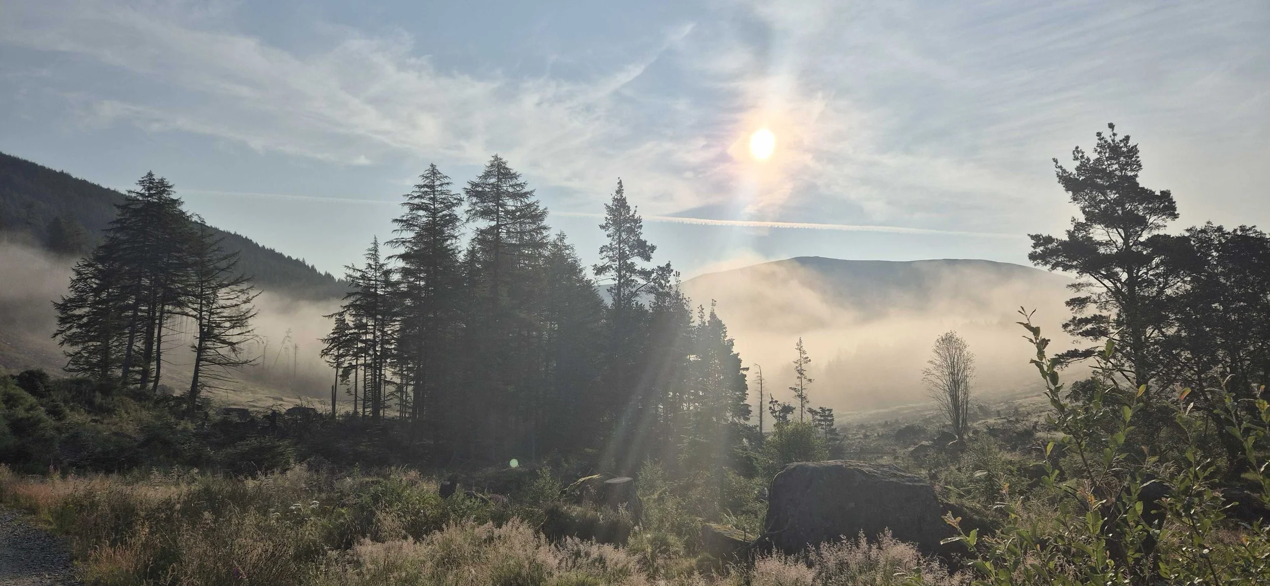 Sunrise over a forested mountain landscape with mist, tall trees, and a partly cloudy sky.