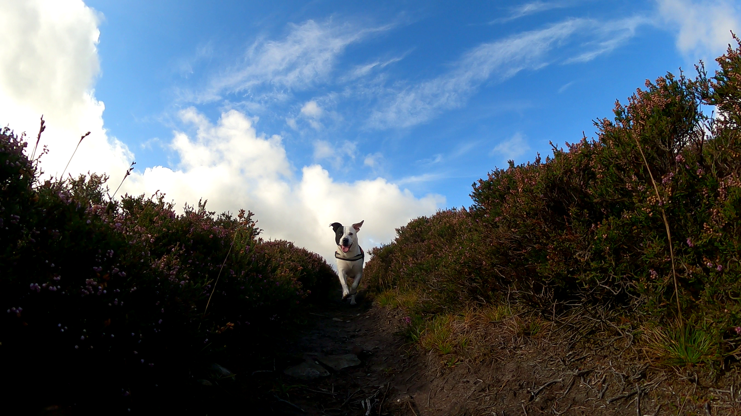 vlcsnap-2025-08-26-14h34m24s313.png