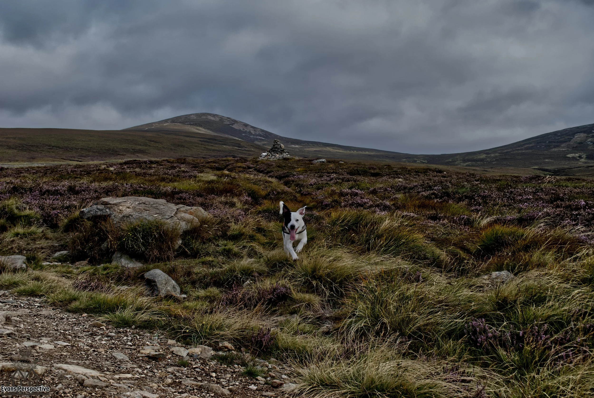 DSC_3749 JPEG.jpg