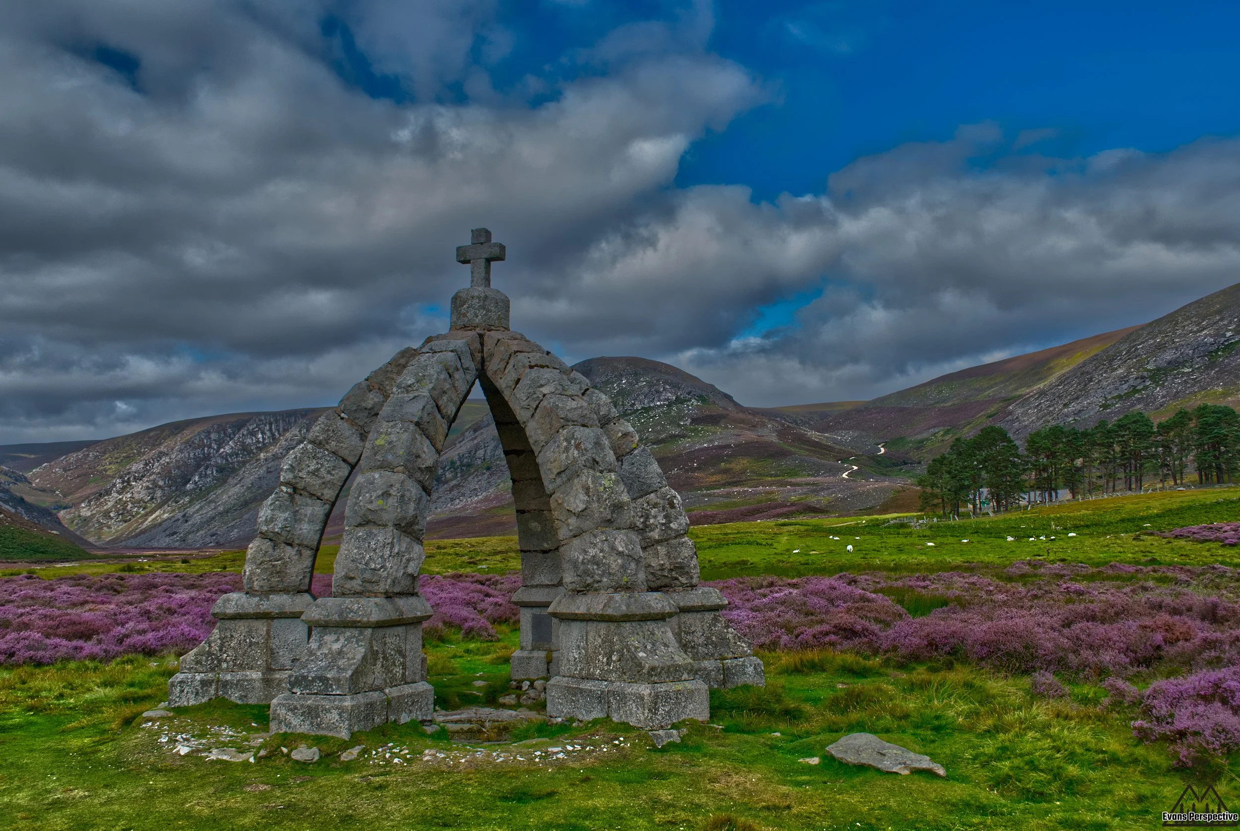 The historic stone arch monument surrounded by blooming purple heather on a Scottish trail. Queens Well