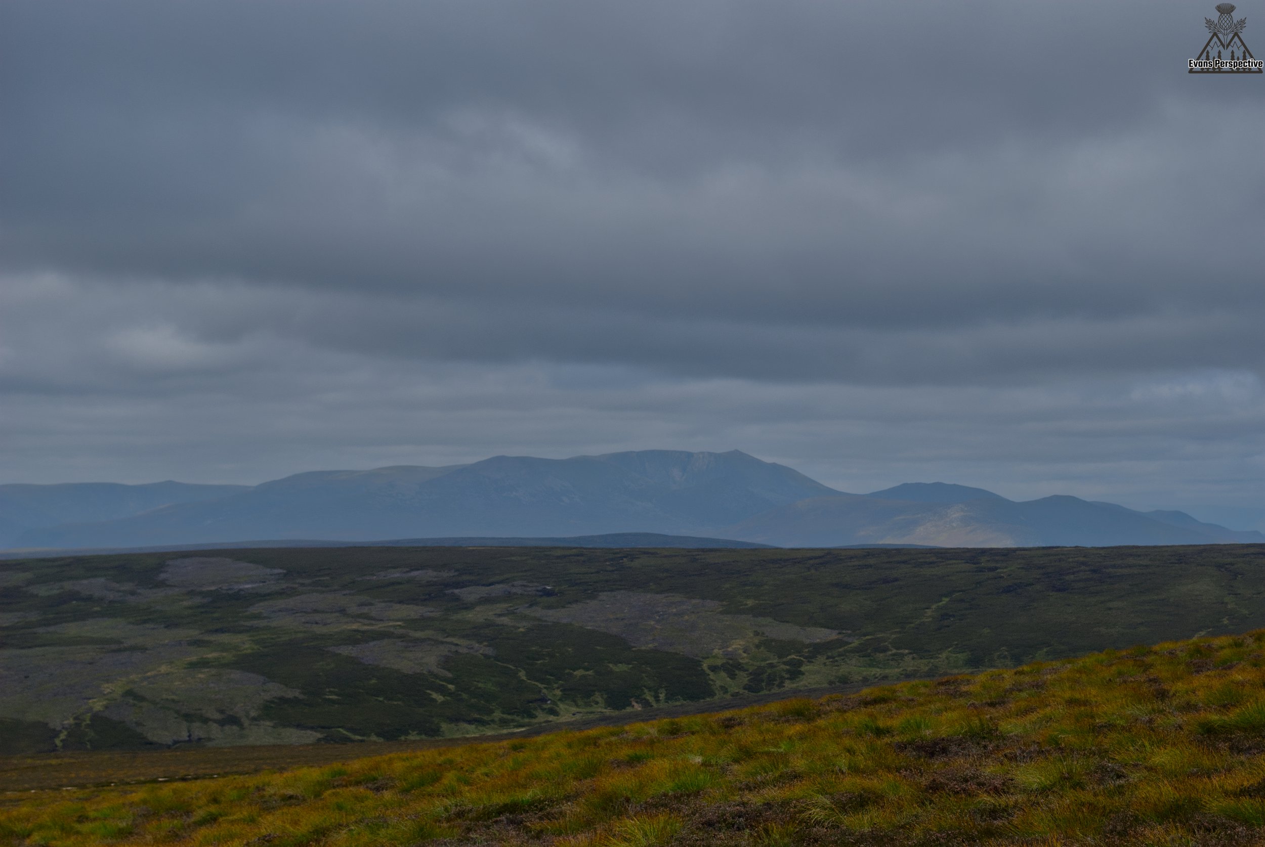 DSC_3755 JPEG.jpg