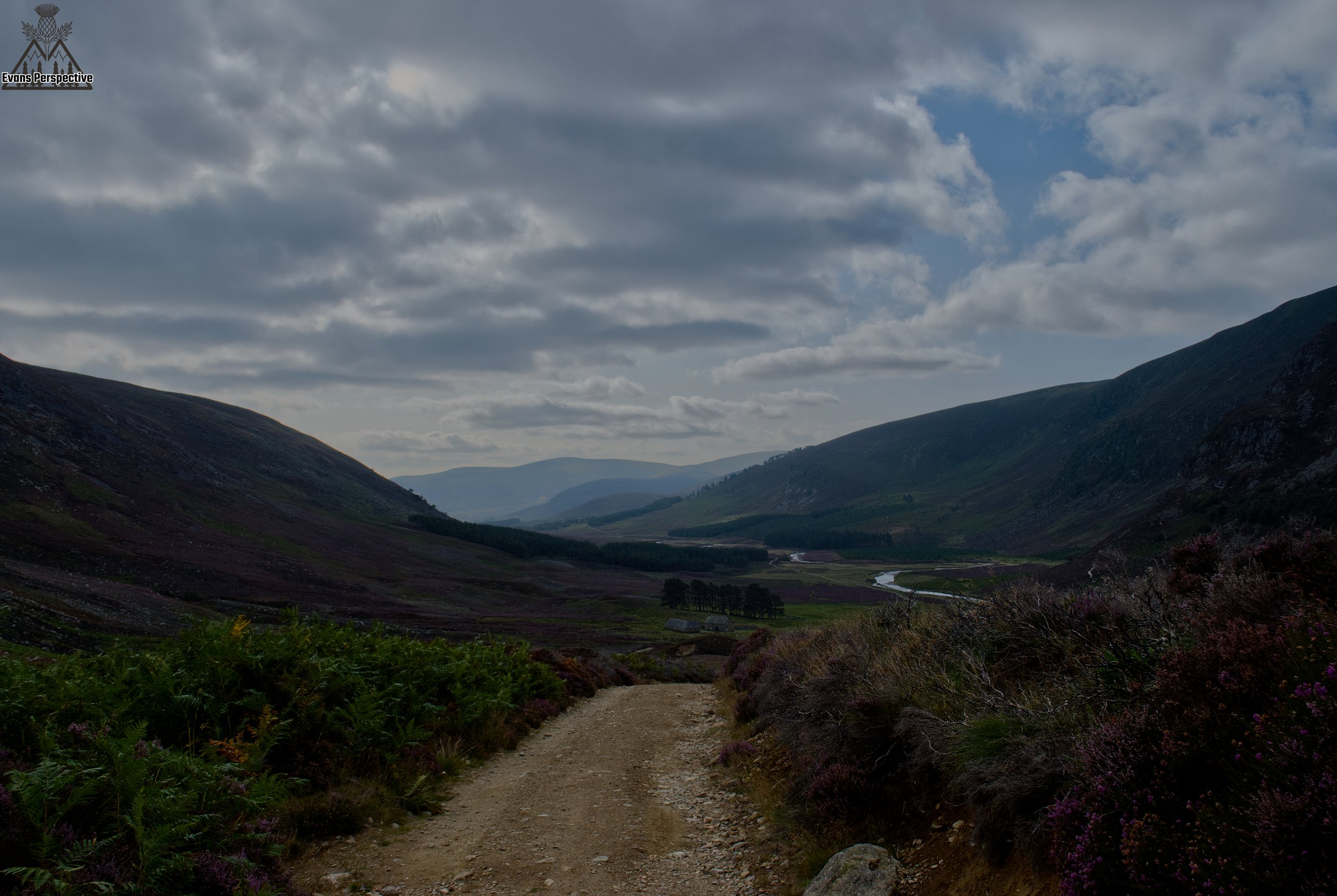 DSC_3736 JPEG.jpg