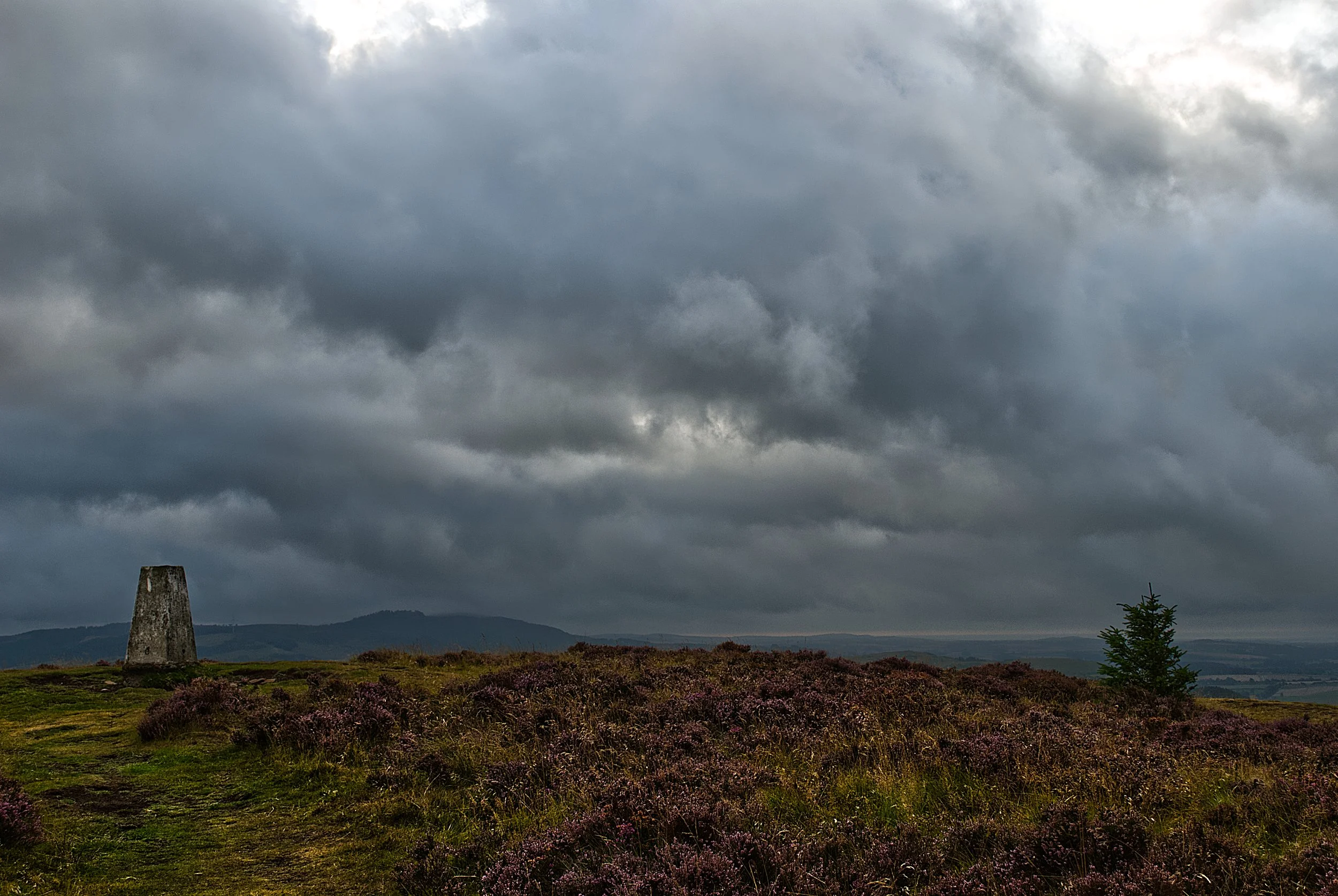 Landscape with cloudy sky, a stone tower, and purple bushes in the foreground.