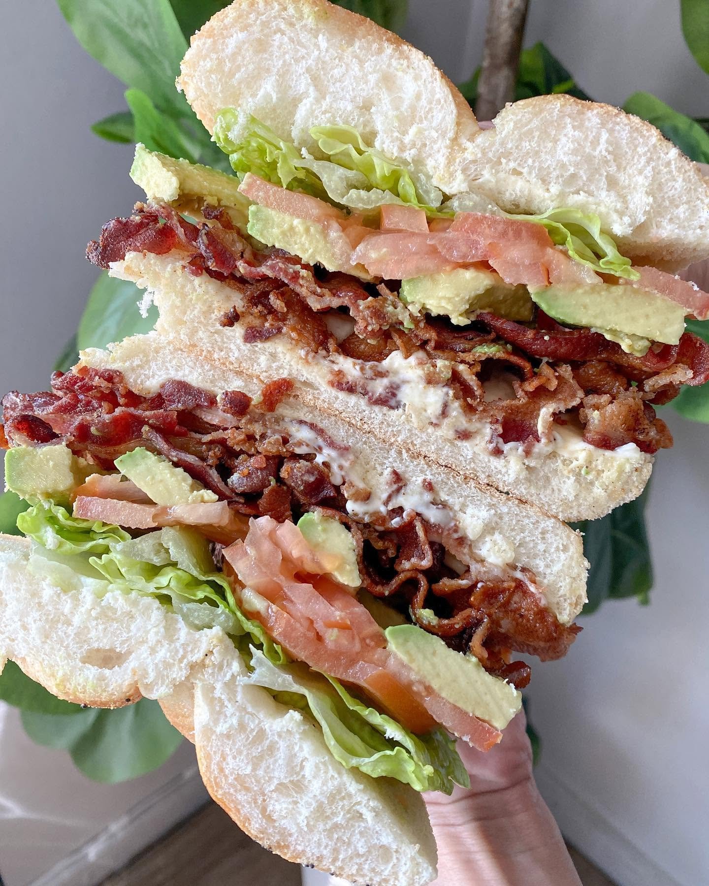 A close-up of a sandwich with bacon, lettuce, tomato, avocado, and a creamy spread inside a sliced white bread roll.