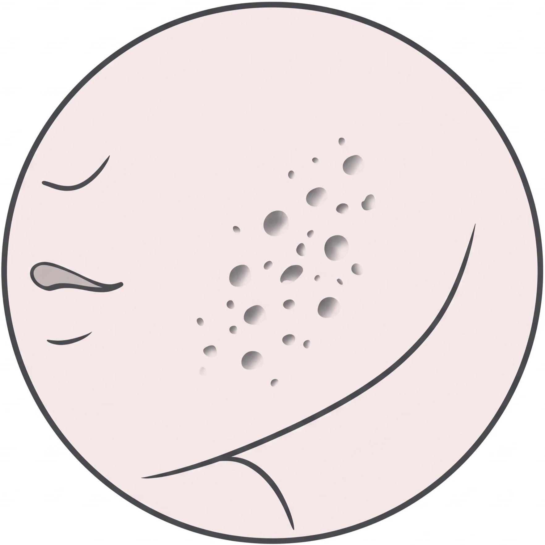 Illustration of a pink potato with dark outline, eyes, and brown spots