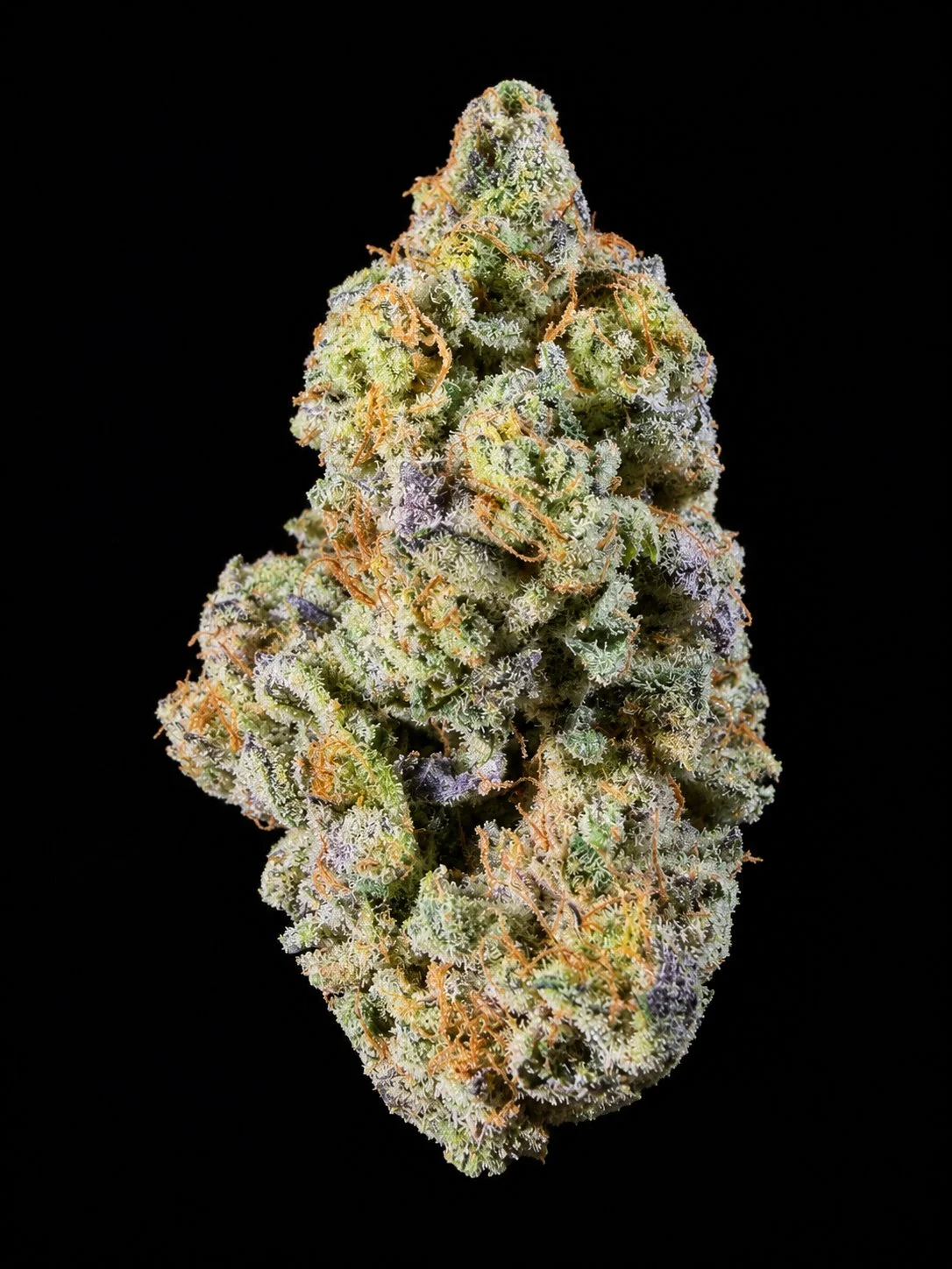 Close-up of a cannabis bud covered in trichomes and orange pistils on a black background.