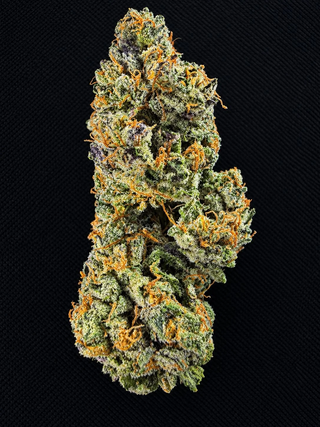 Close-up of a cannabis flower bud with orange hairs and green leaves, coated in trichomes, against a black textured background.