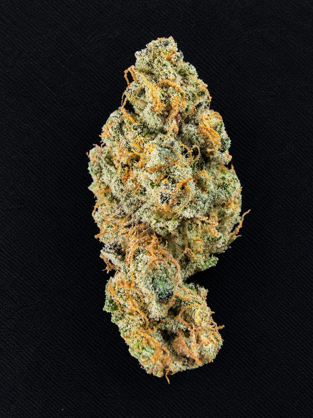Close-up of a cannabis bud on a black background.