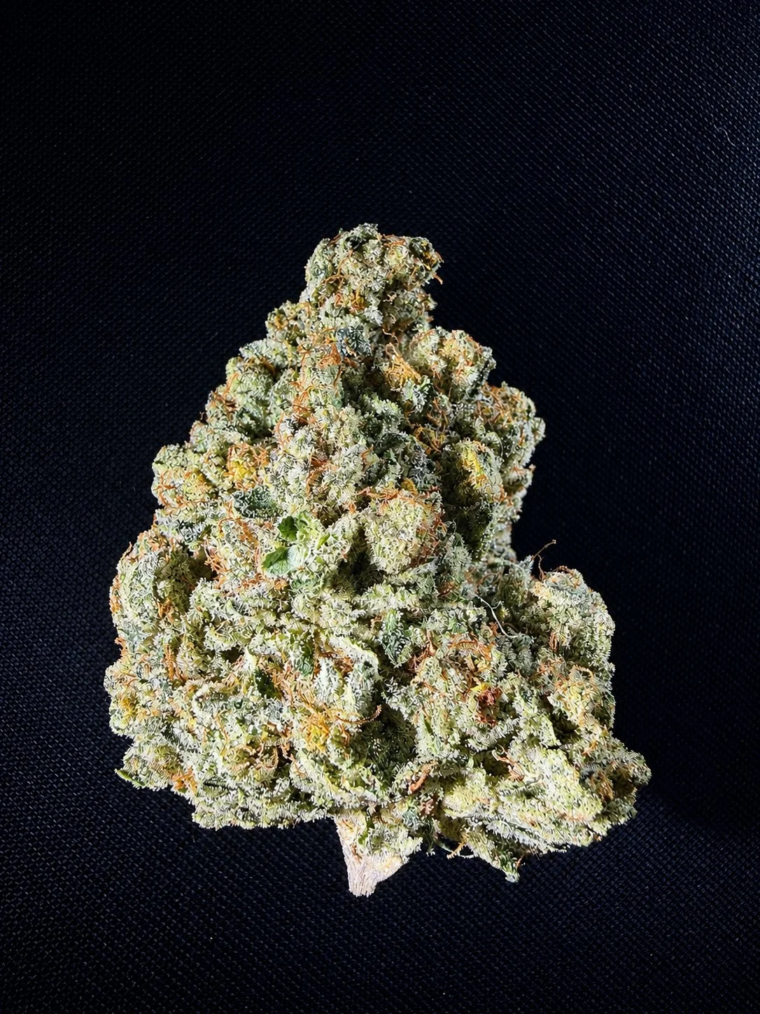 Close-up of a cannabis bud with trichomes and orange hairs on a black textured background.