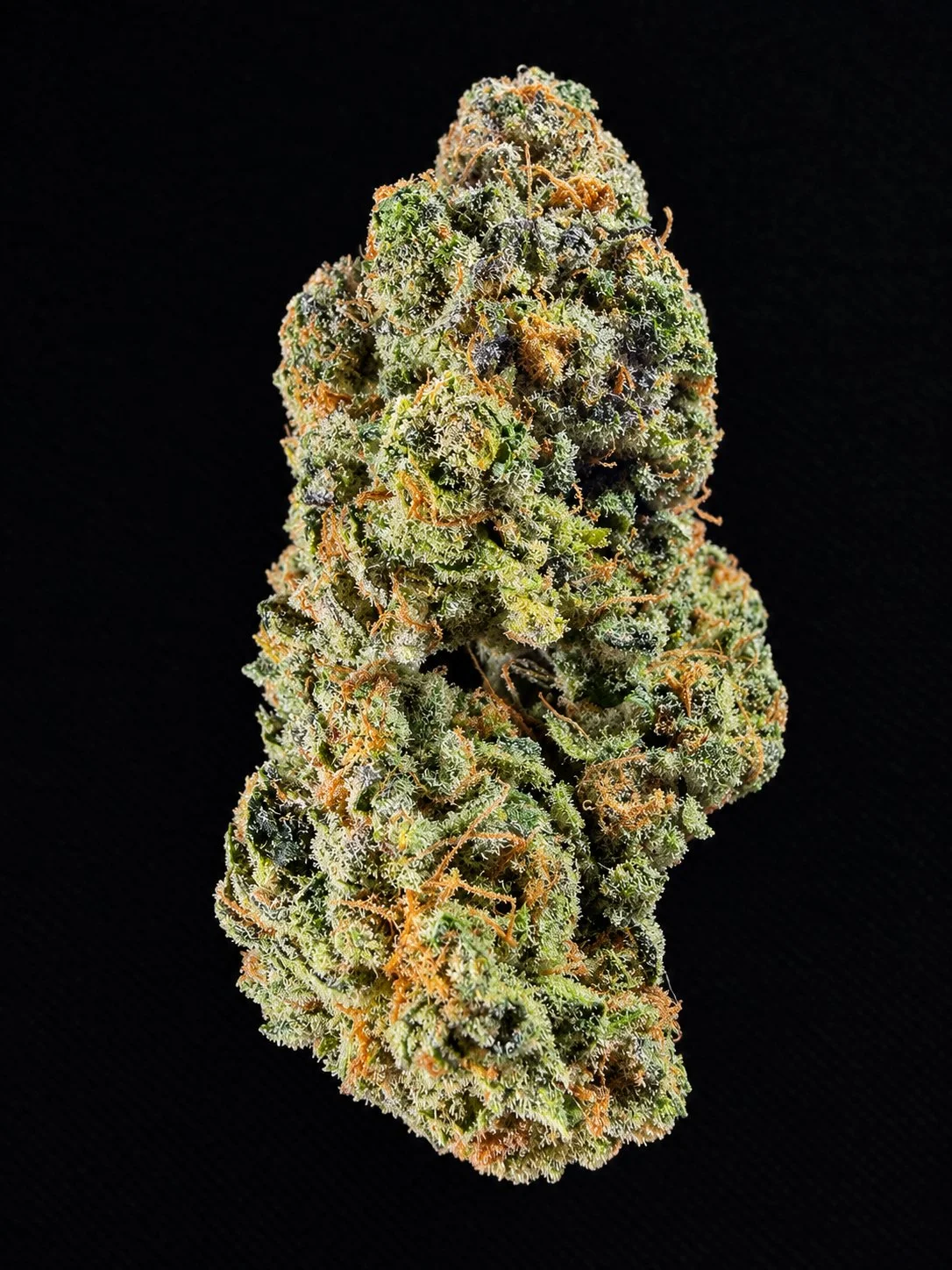 Close-up of a single cannabis bud against a black background, showing detailed trichomes and orange pistils.