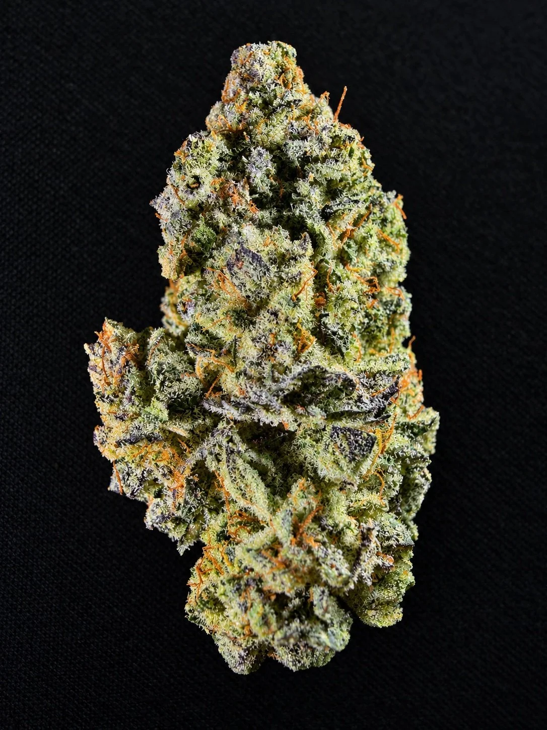 Close-up of a large cannabis bud covered in trichomes, with orange hairs, on a black background.