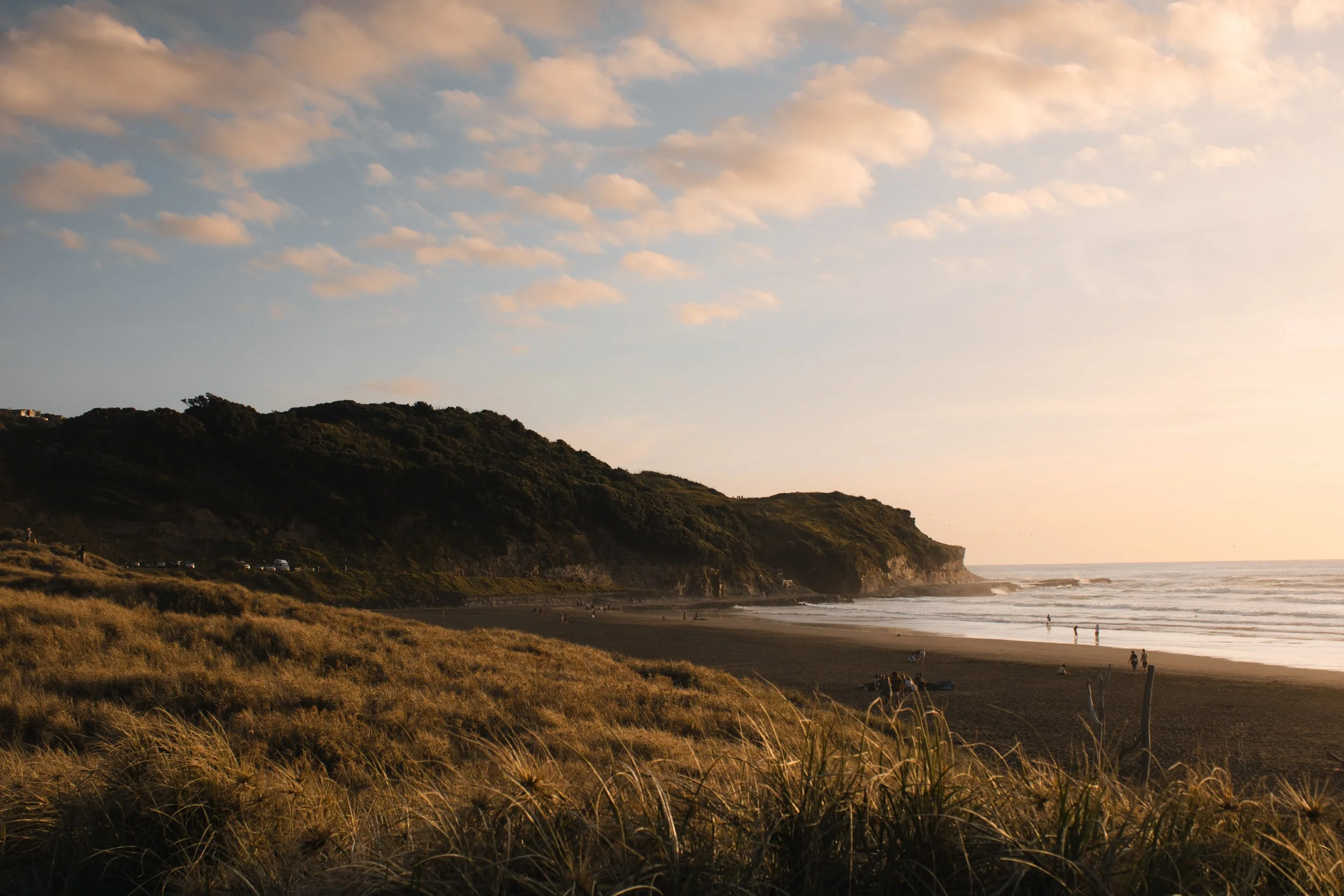 Private Tours Muriwai.jpg