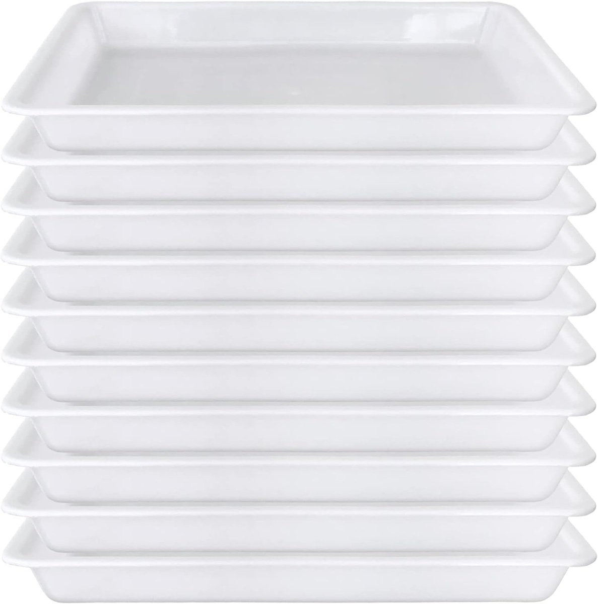 Art trays (10 pack)