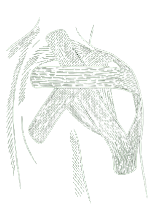 Illustration of a shoulder with kinesiology tape taped on it