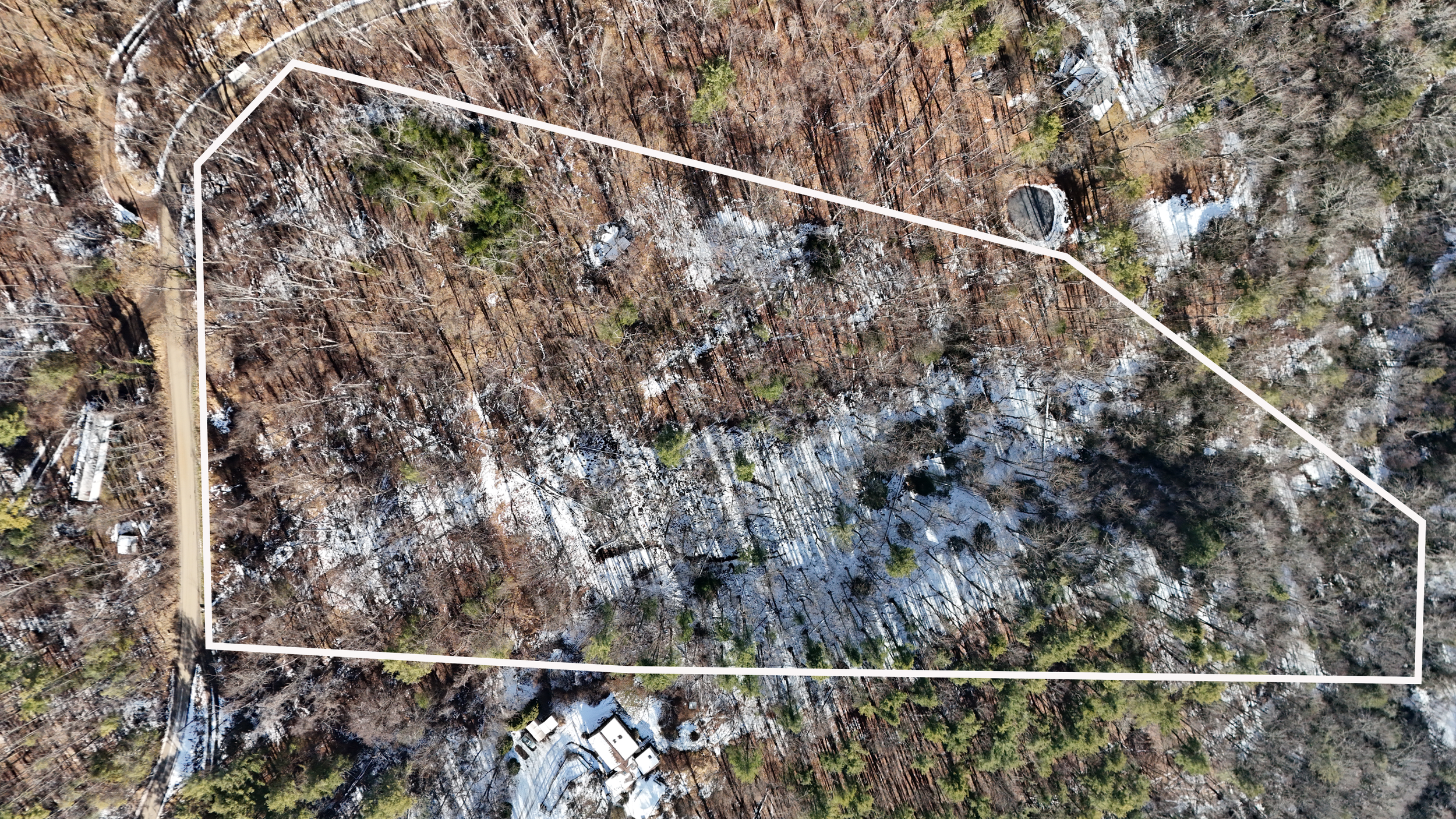 Aerial view of a wooded area with trees and patches of snow, with a white outlined shape overlaid on the image.