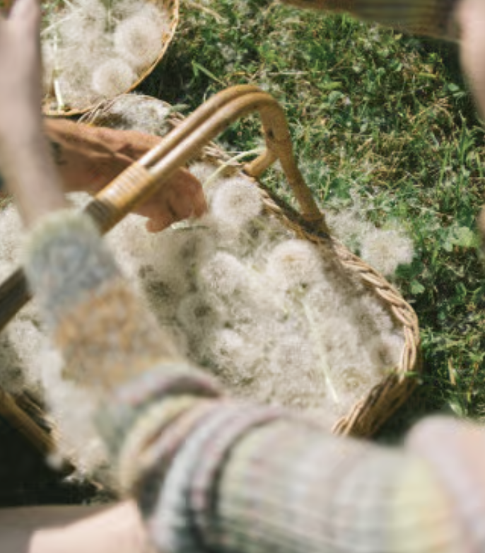 Person carrying a woven basket outdoors