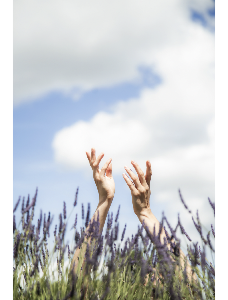 Hands reaching above wildflowers under a blue sky