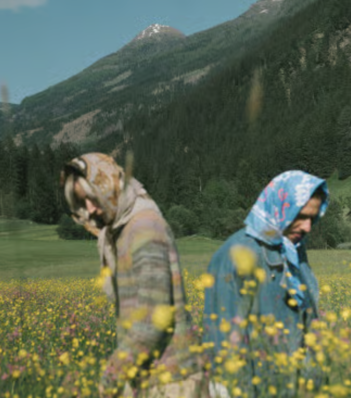 Two people standing apart in a field of wildflowers with mountains behind them