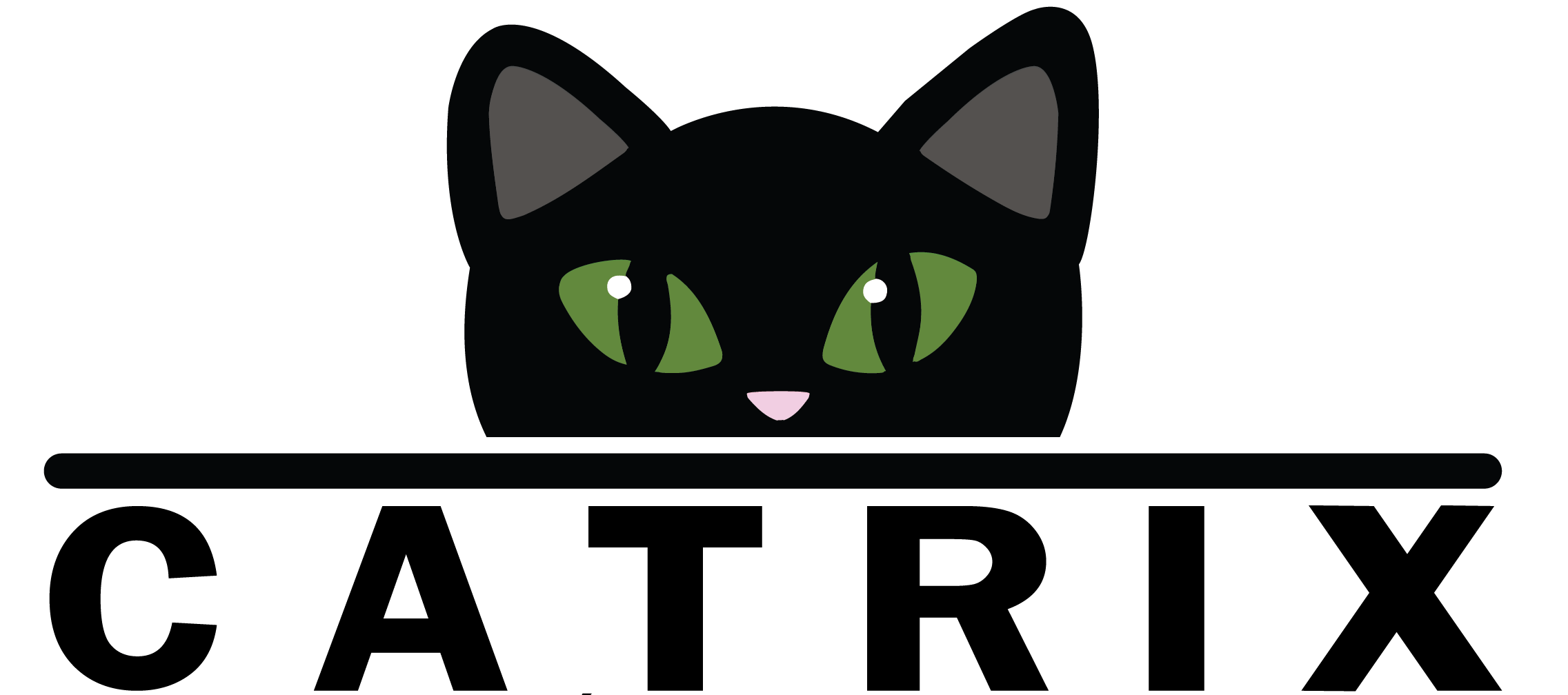 Black cat with green eyes and pink nose, looking forward against a black background.