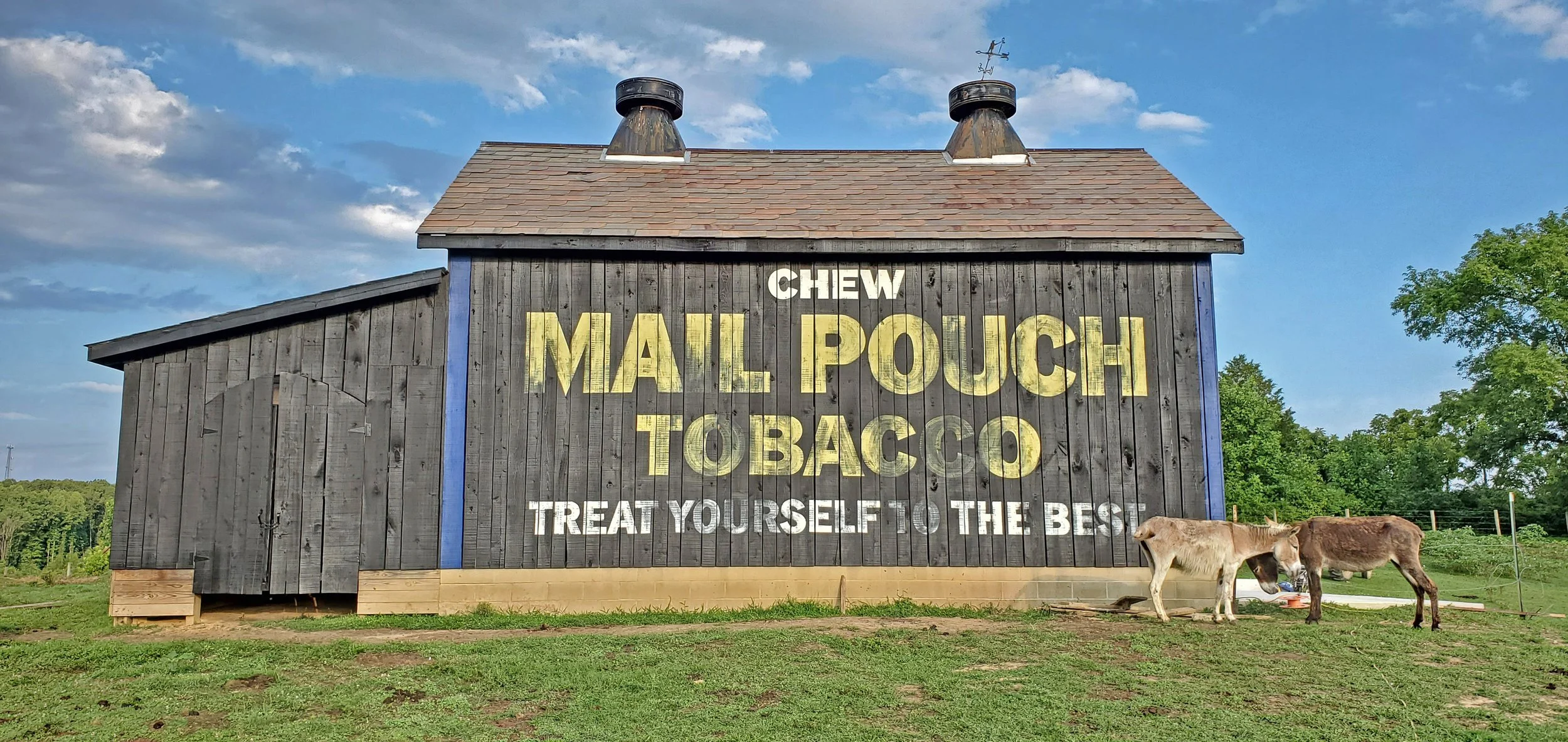 Mail Pouch Rio with donkeys.jpg