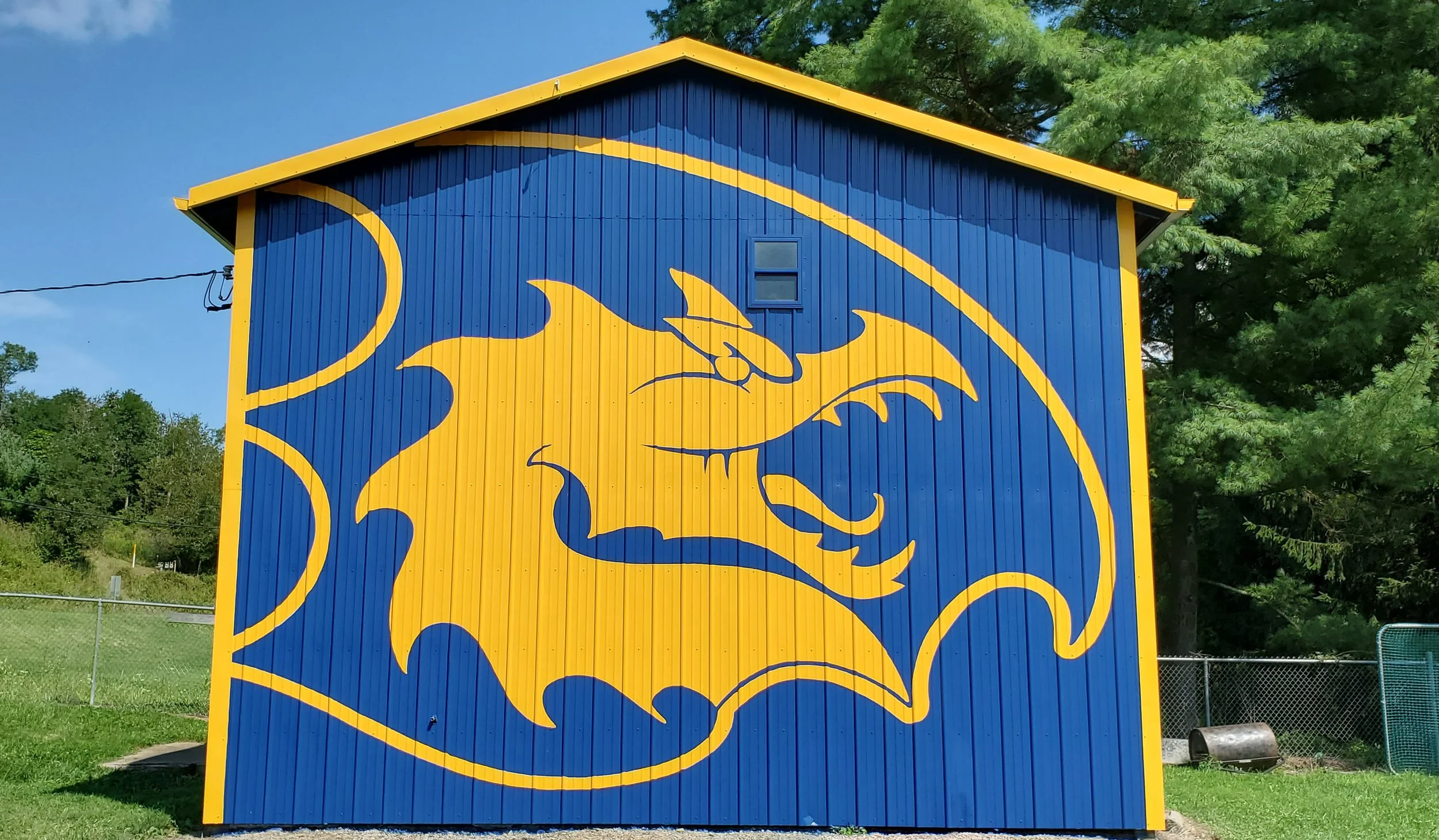 Cameron Dragons shed1.jpg