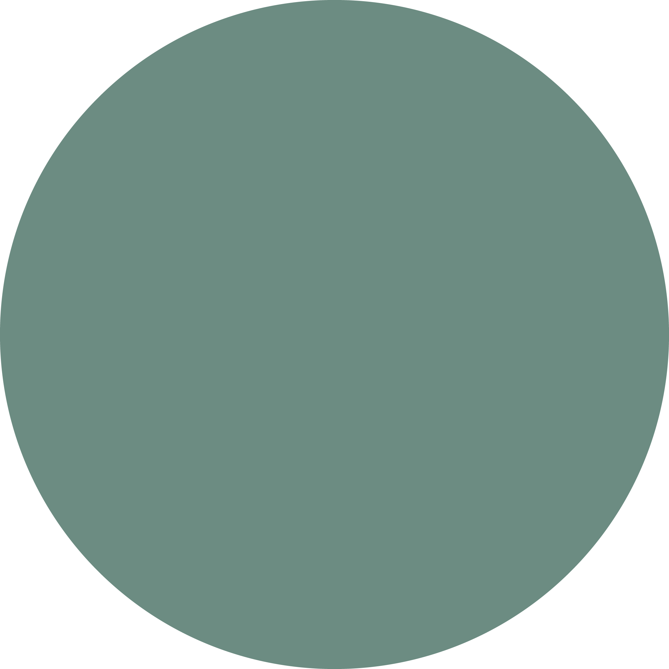 The dot symbol represents SENIOR COUNSEL. Every engagement is led by Erica, not handed to junior staff. Senior-level thinking at every stage.