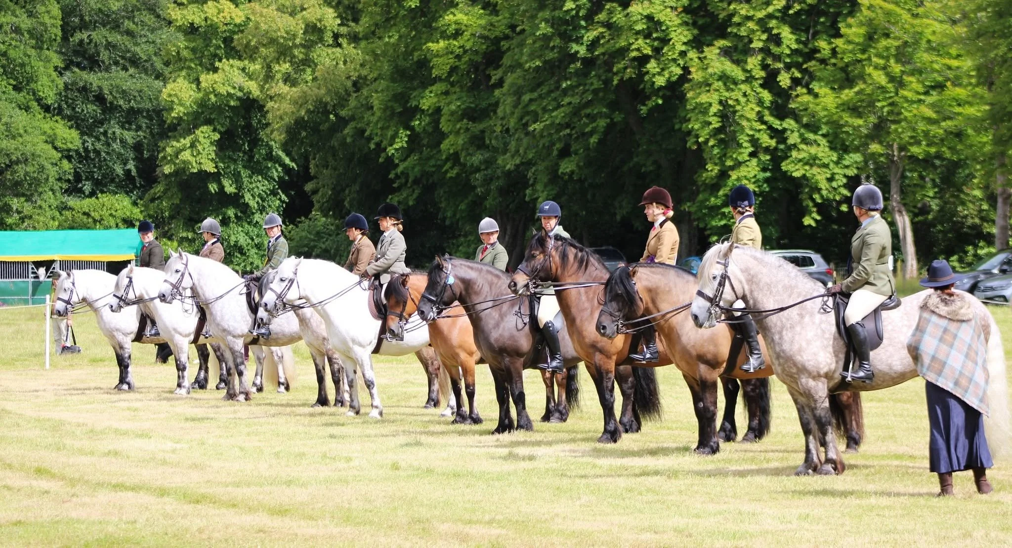 A line of people dressed in equestrian attire, sitting on horses, participating in a riding event outdoors. The background features lush green trees and parked cars, with an official or organizer dressed warmly standing nearby.