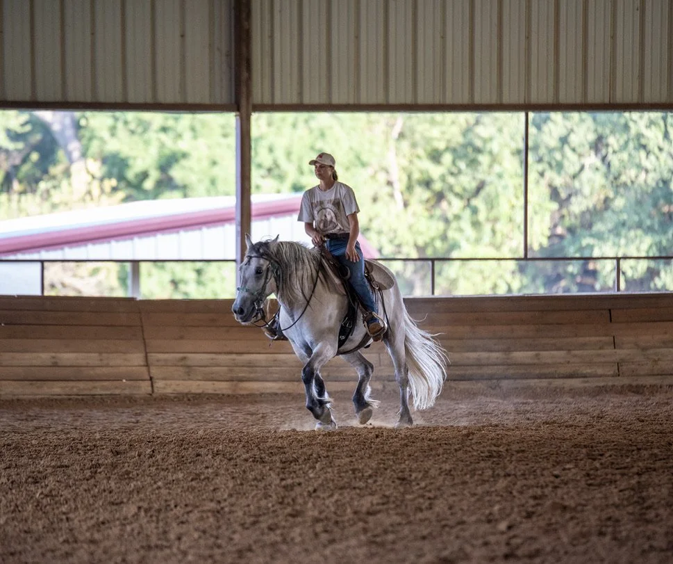 Person riding a white horse inside an indoor riding arena with wooden walls and a large open window showing trees outside.