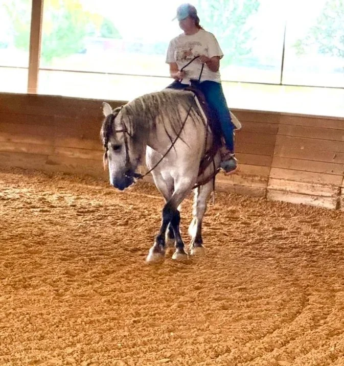 Person riding a horse in an indoor riding arena with sandy footing.